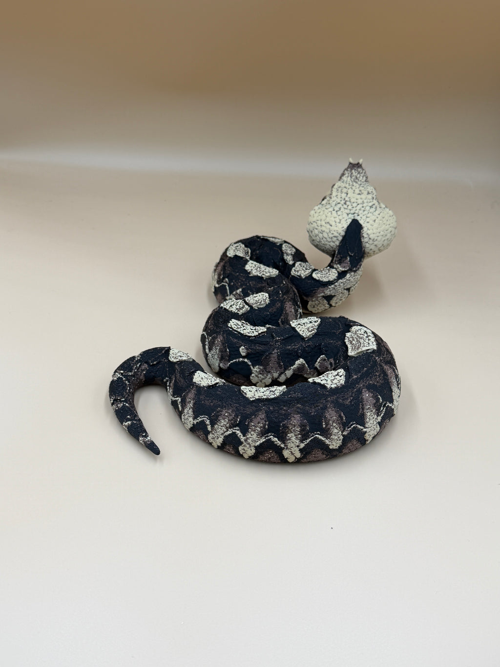 Gaboon Viper Snake