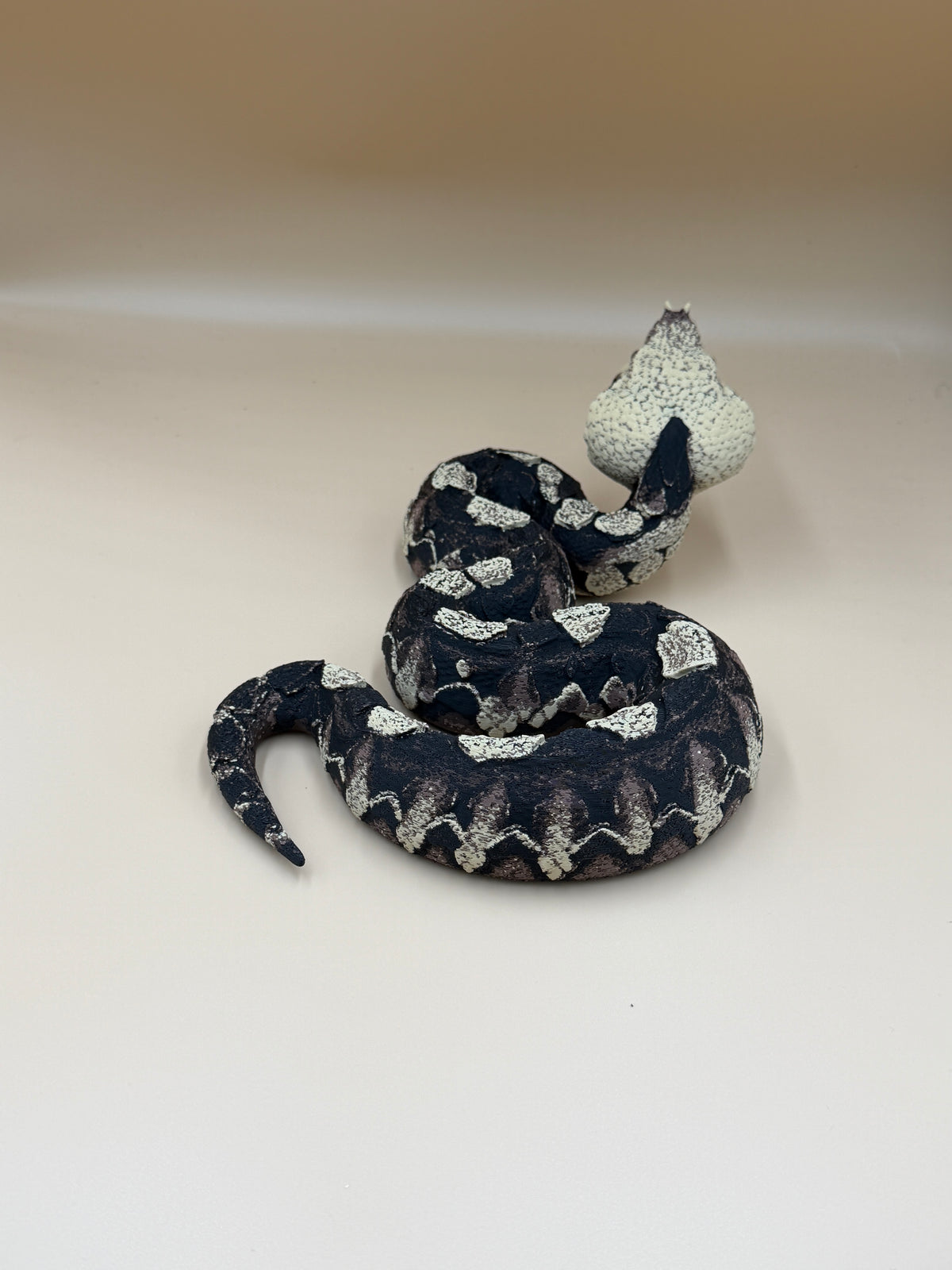 Gaboon Viper Snake
