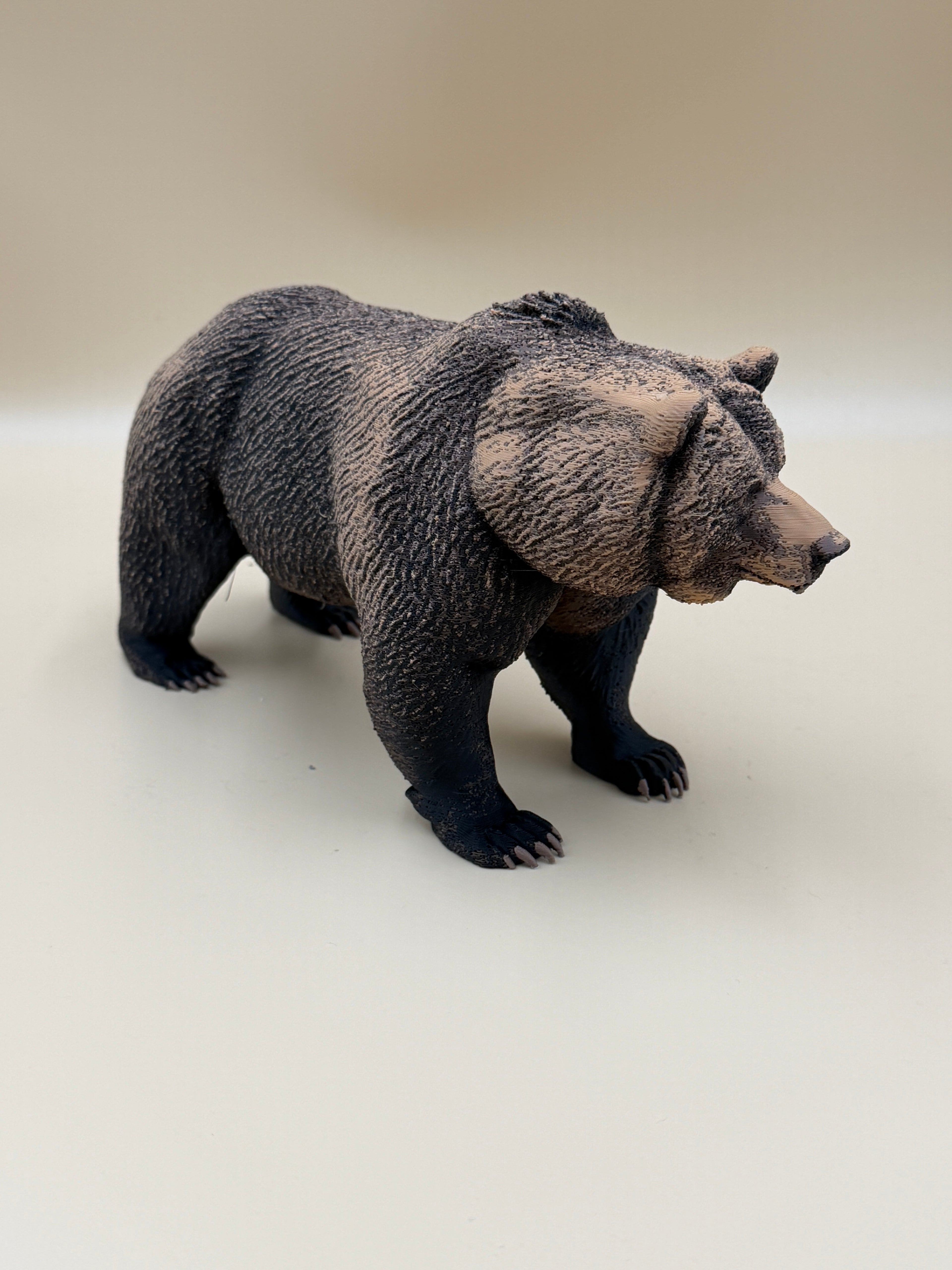 The Wild Grizzly Bear