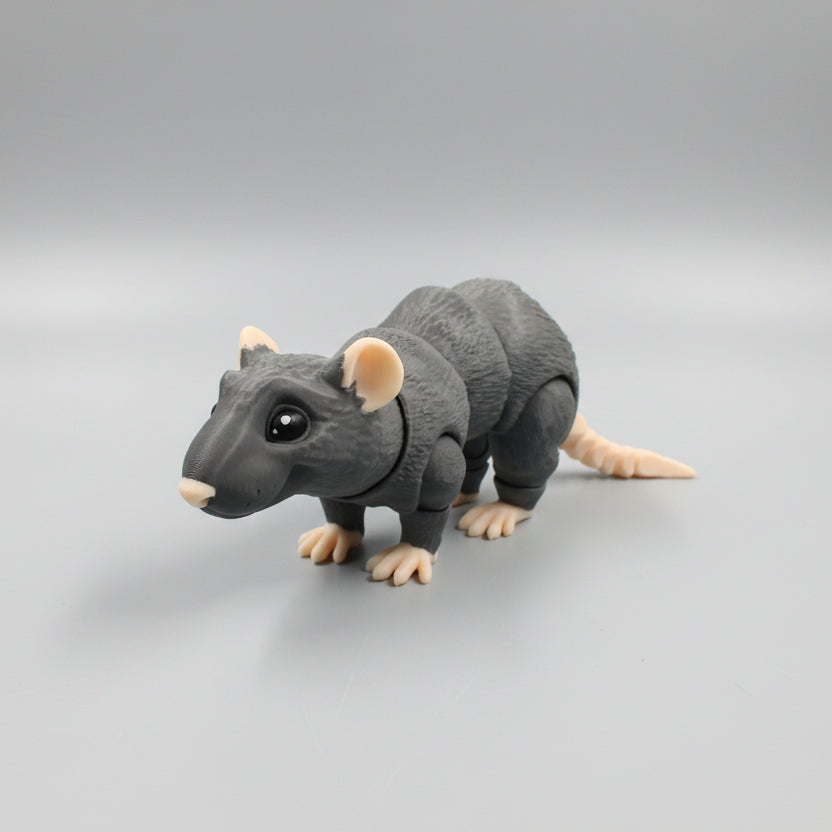 Rat