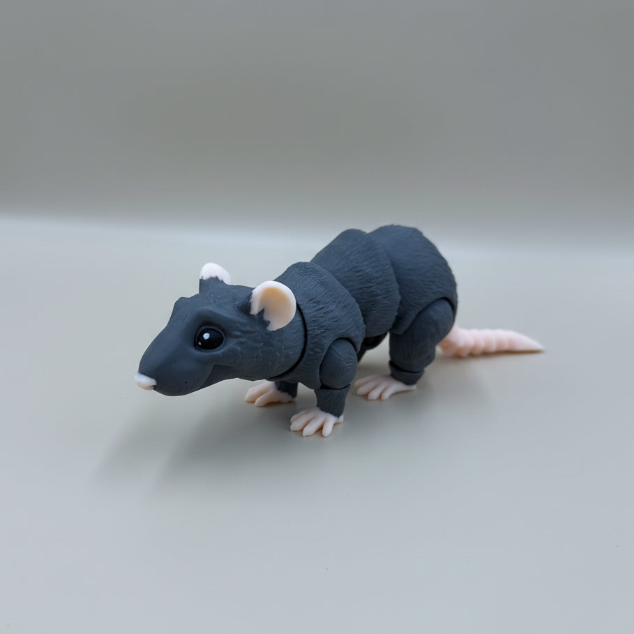Rat