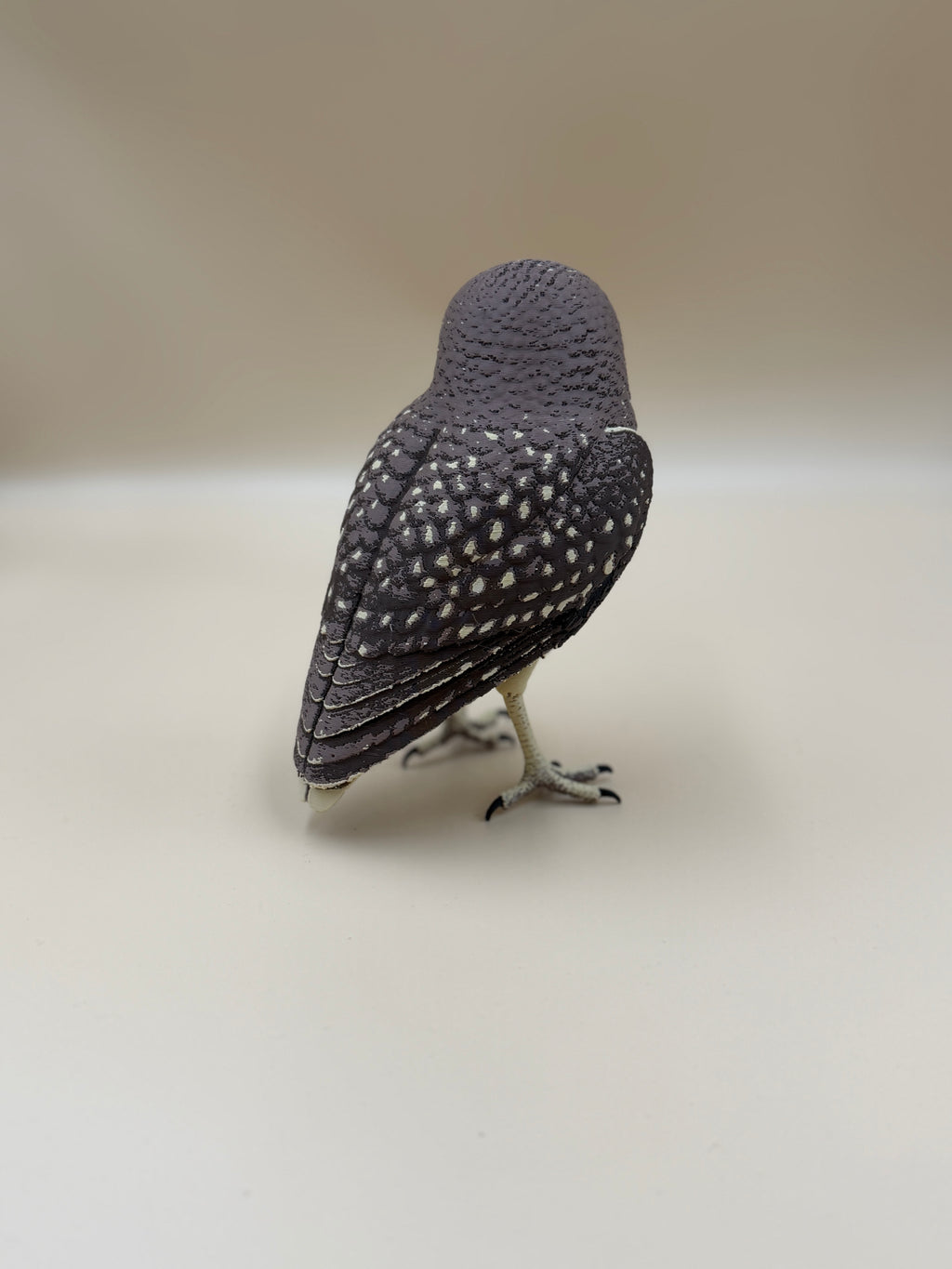 Burrowing Owl - Indoor Only