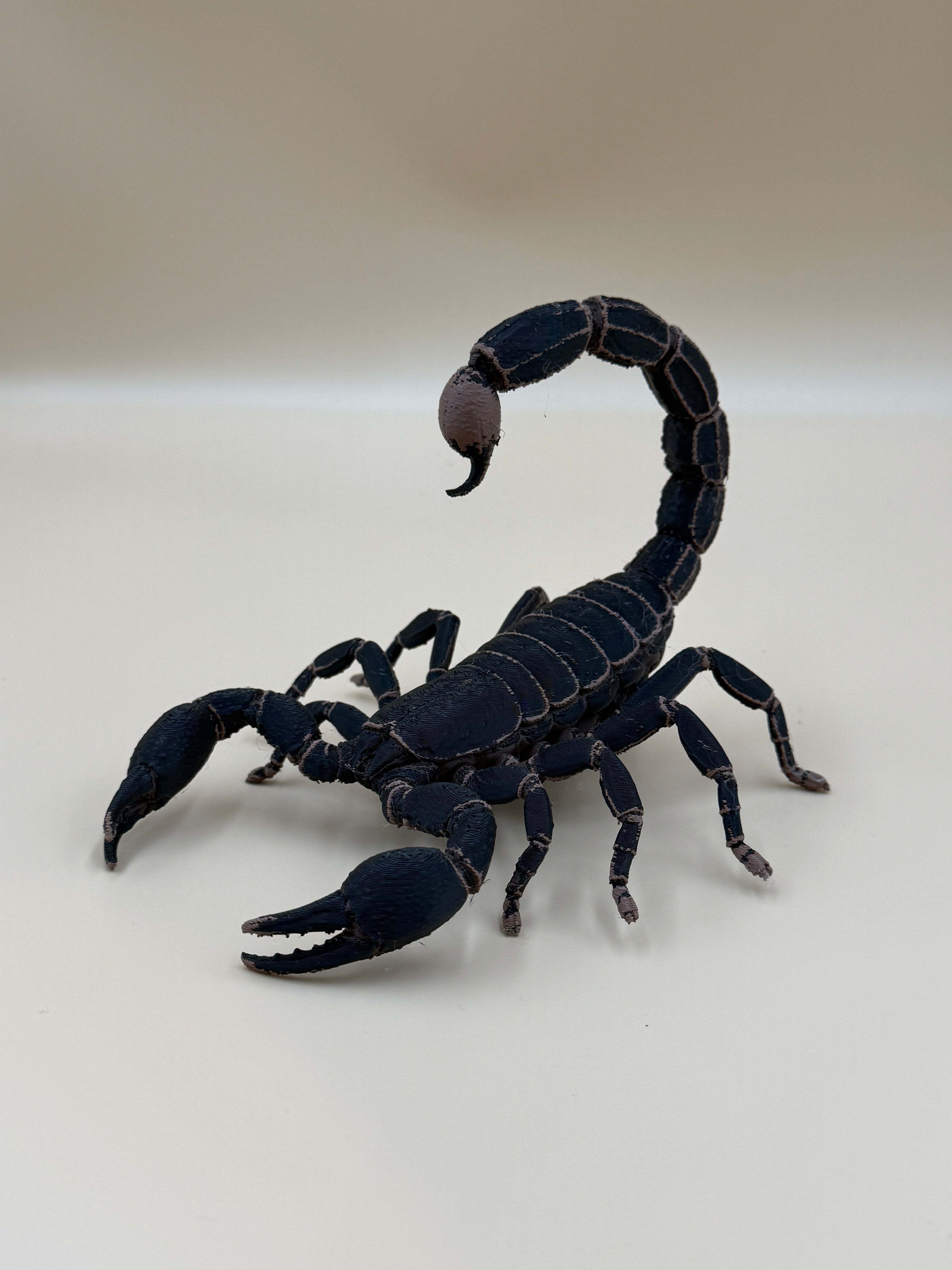 Scorpion