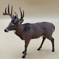 White Tail Deer