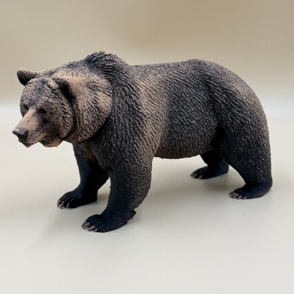 The Wild Grizzly Bear