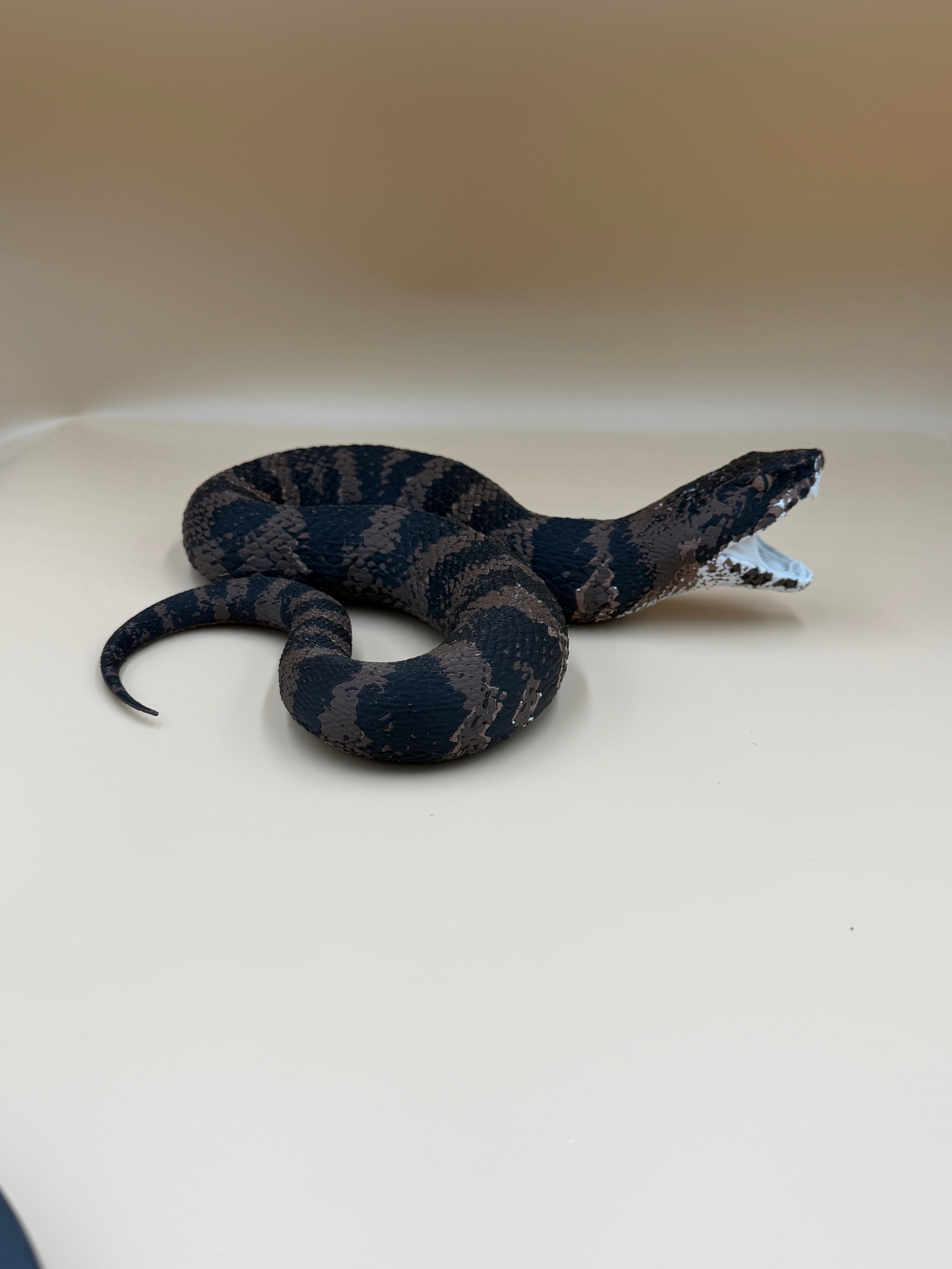 Cottonmouth Snake