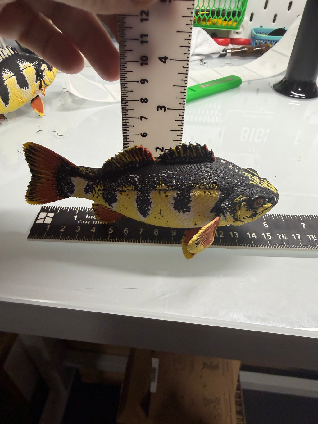 Yellow Perch