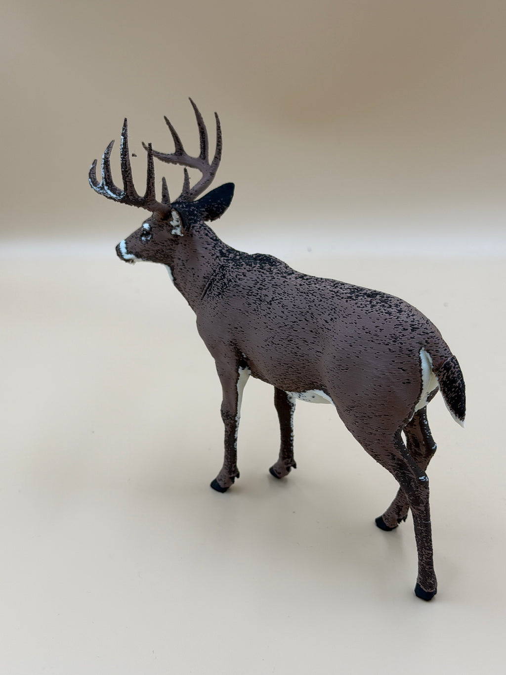 White Tail Deer