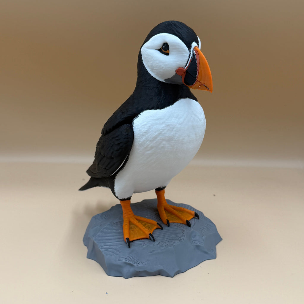 Puffin