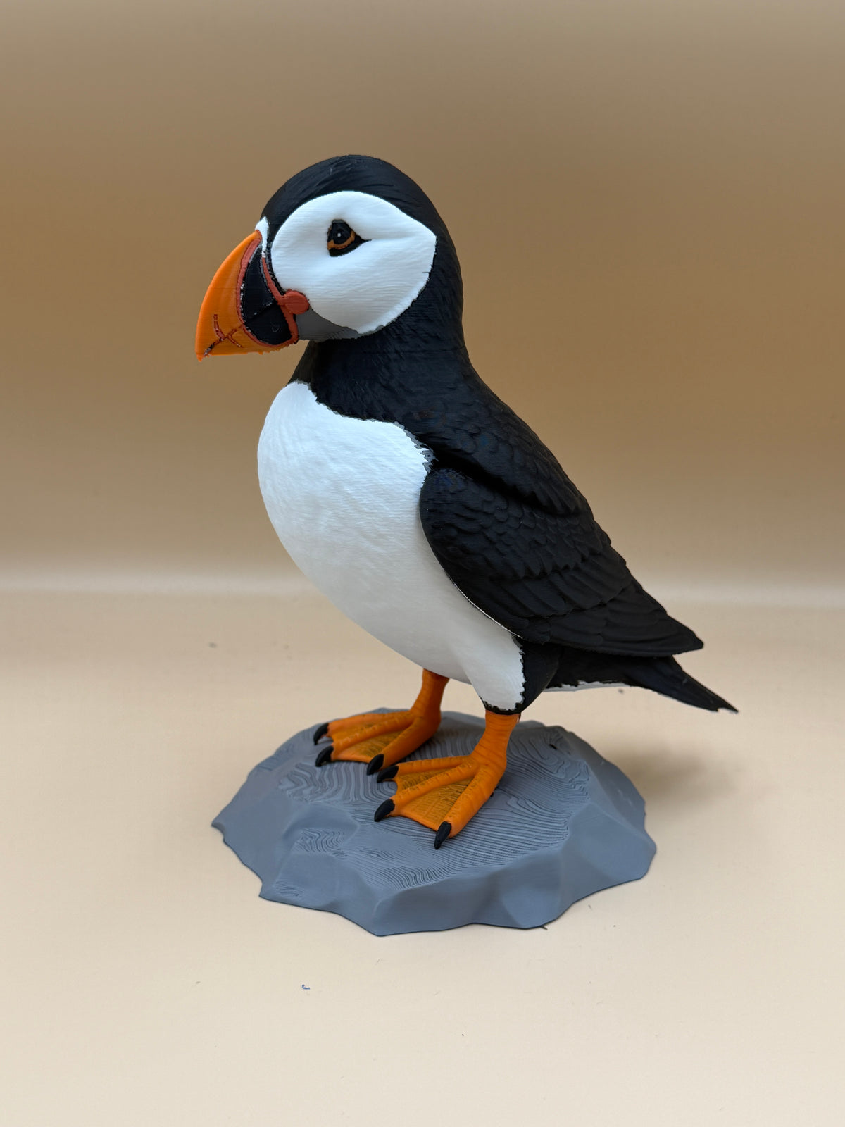 Puffin