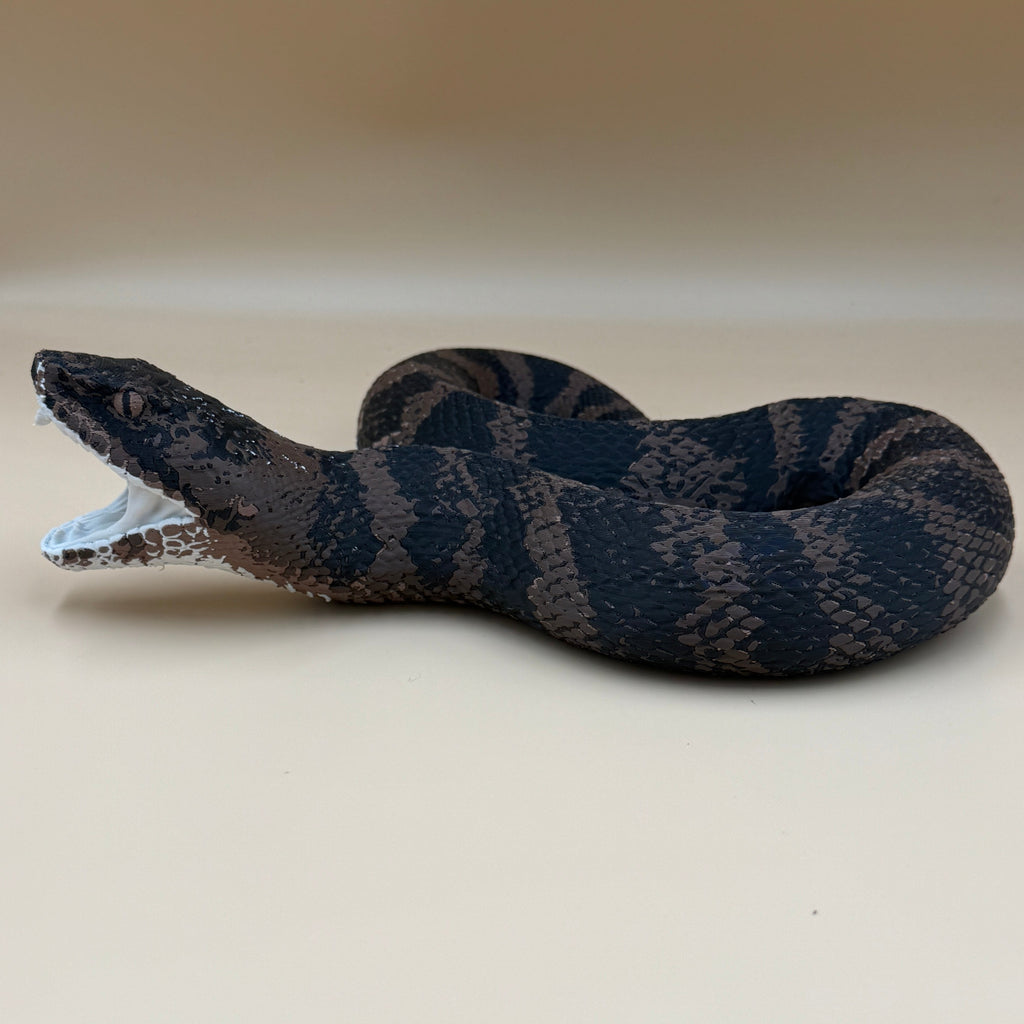 Cottonmouth Snake