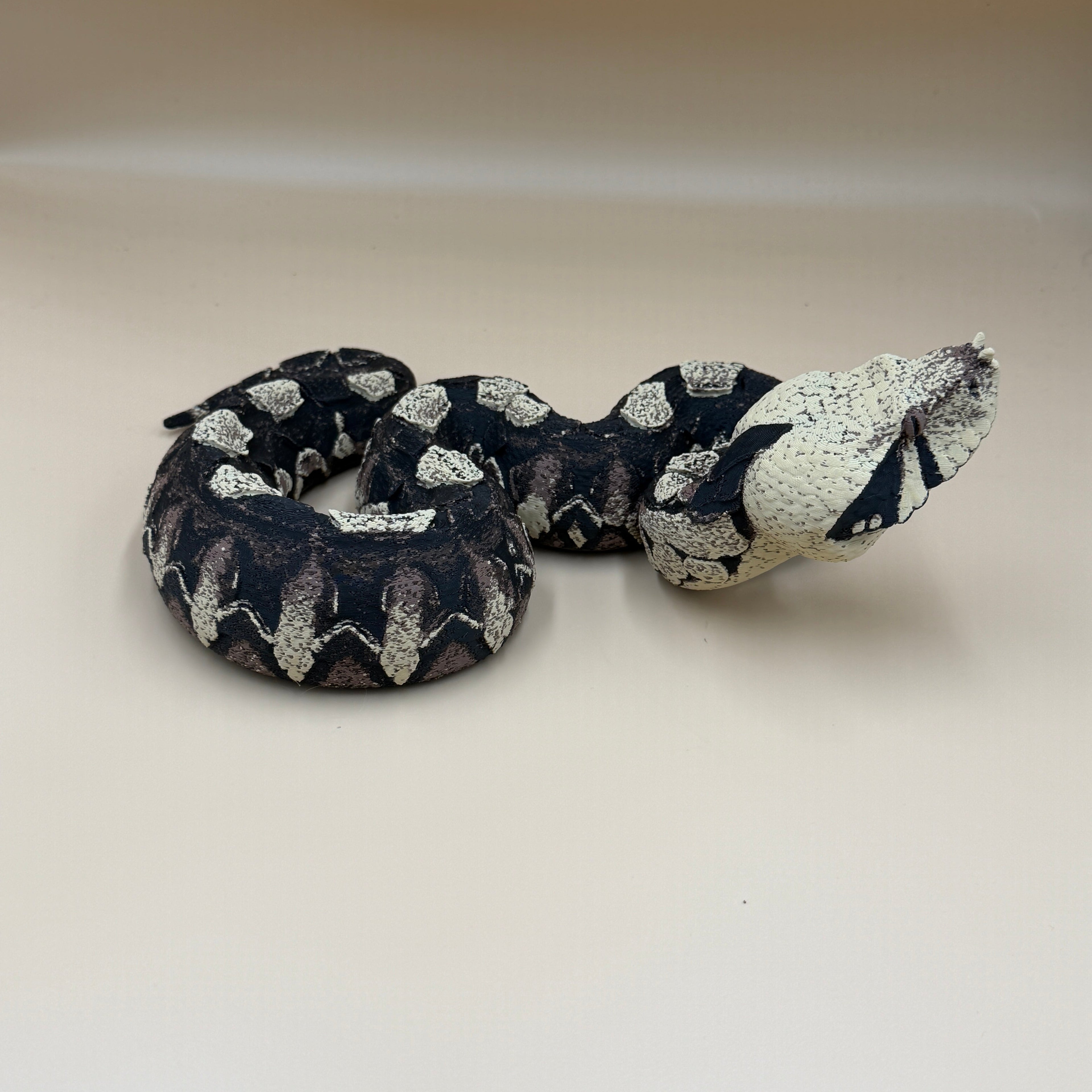 Gaboon Viper Snake