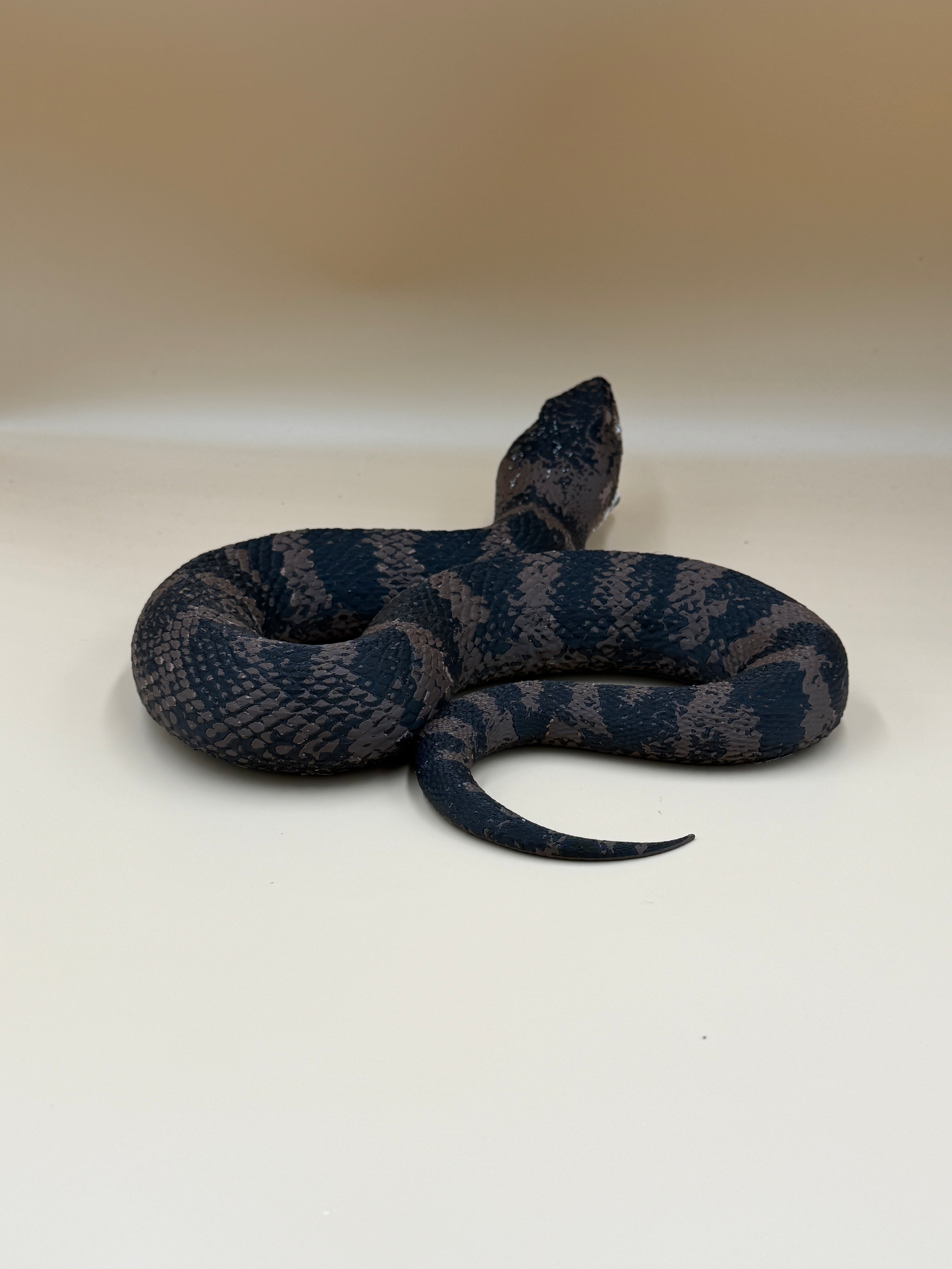 Cottonmouth Snake