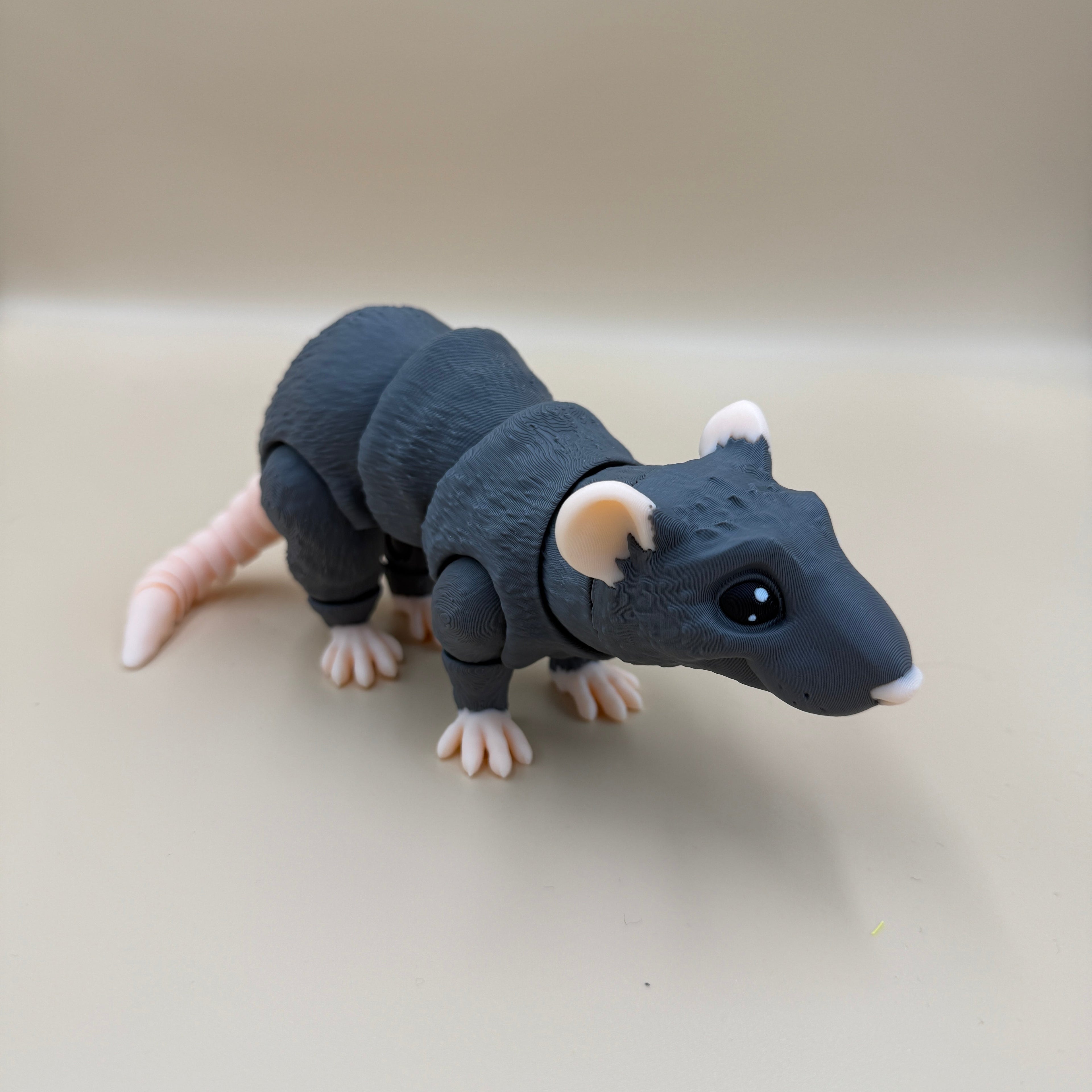 Rat