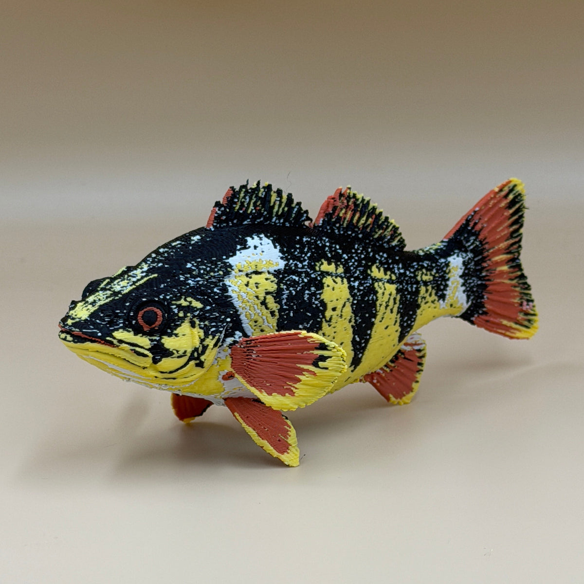 Yellow Perch