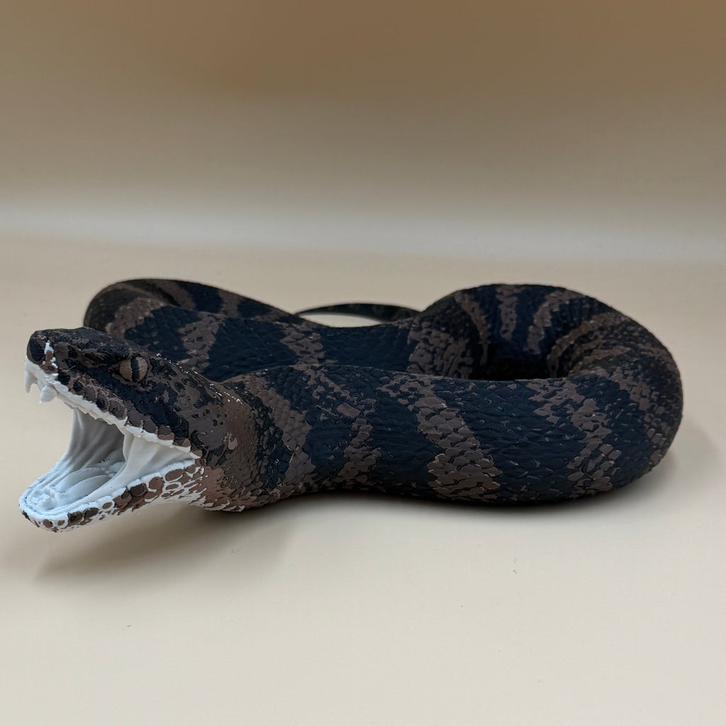 Cottonmouth Snake