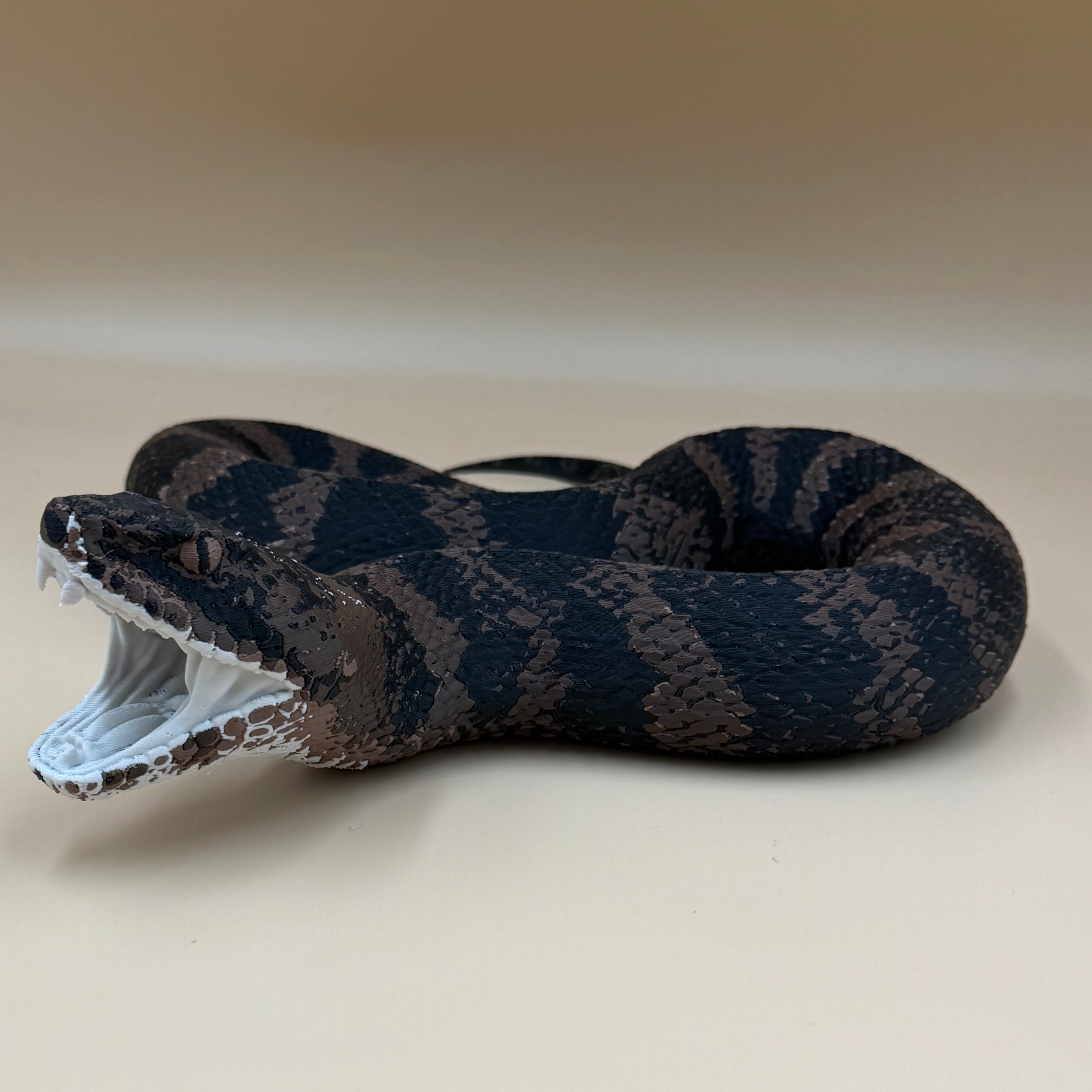 Cottonmouth Snake