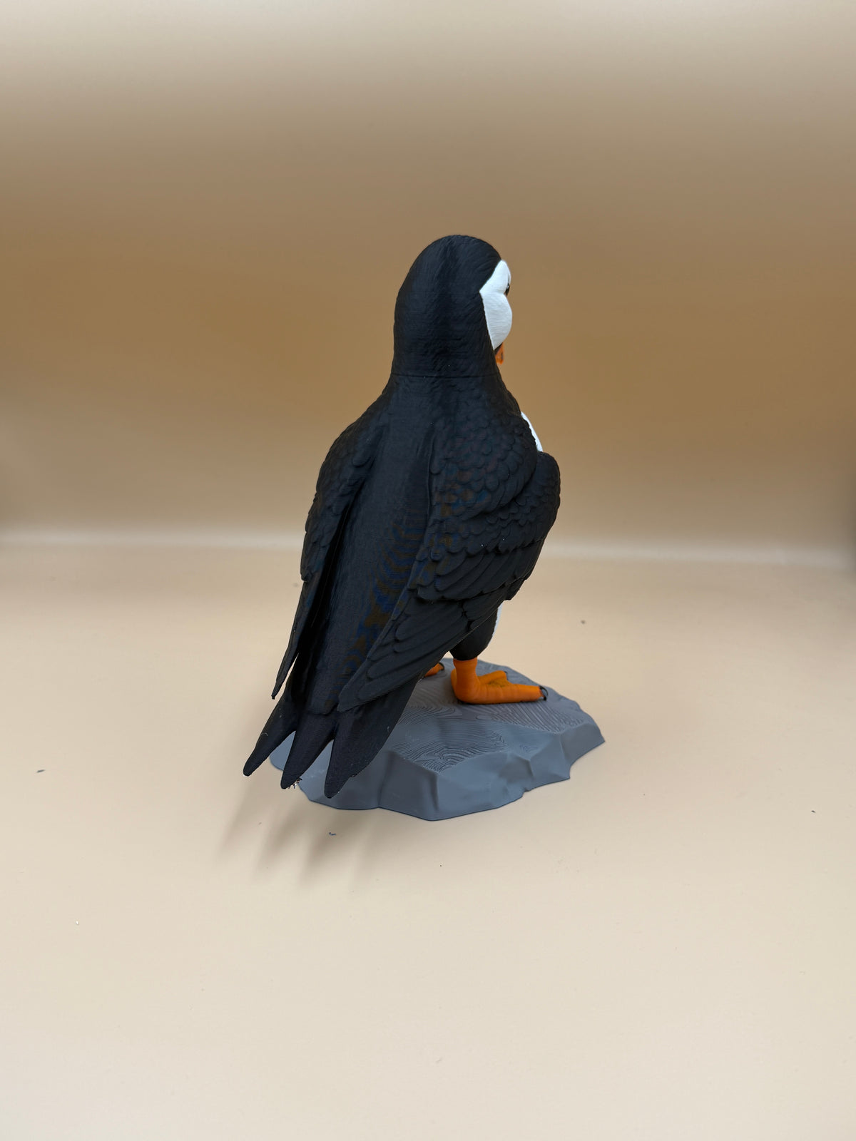 Puffin