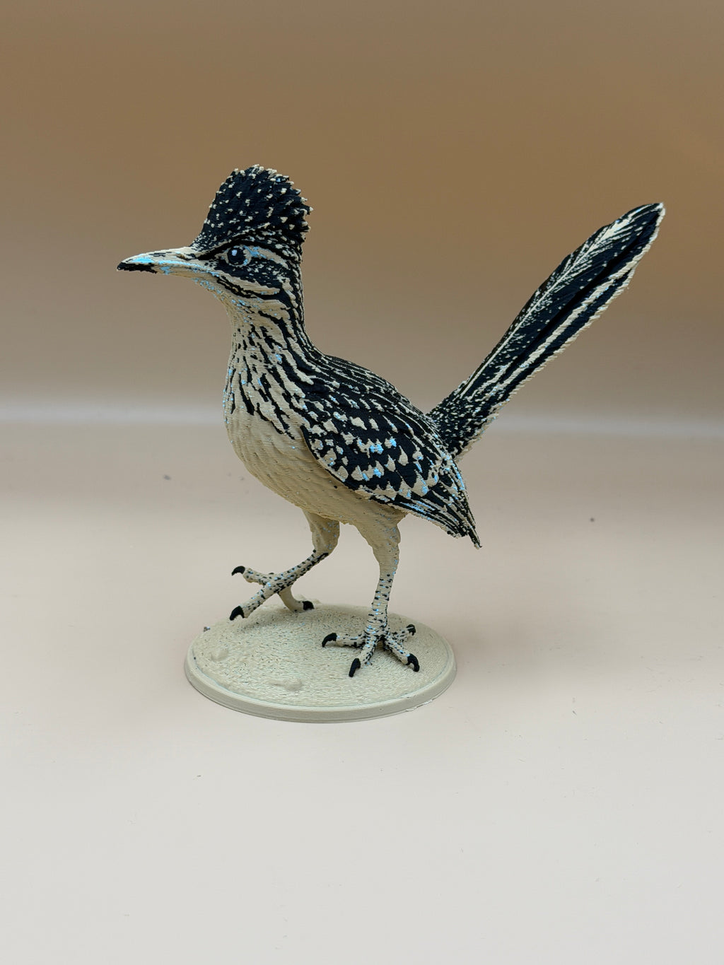 Desert Dash Roadrunner
