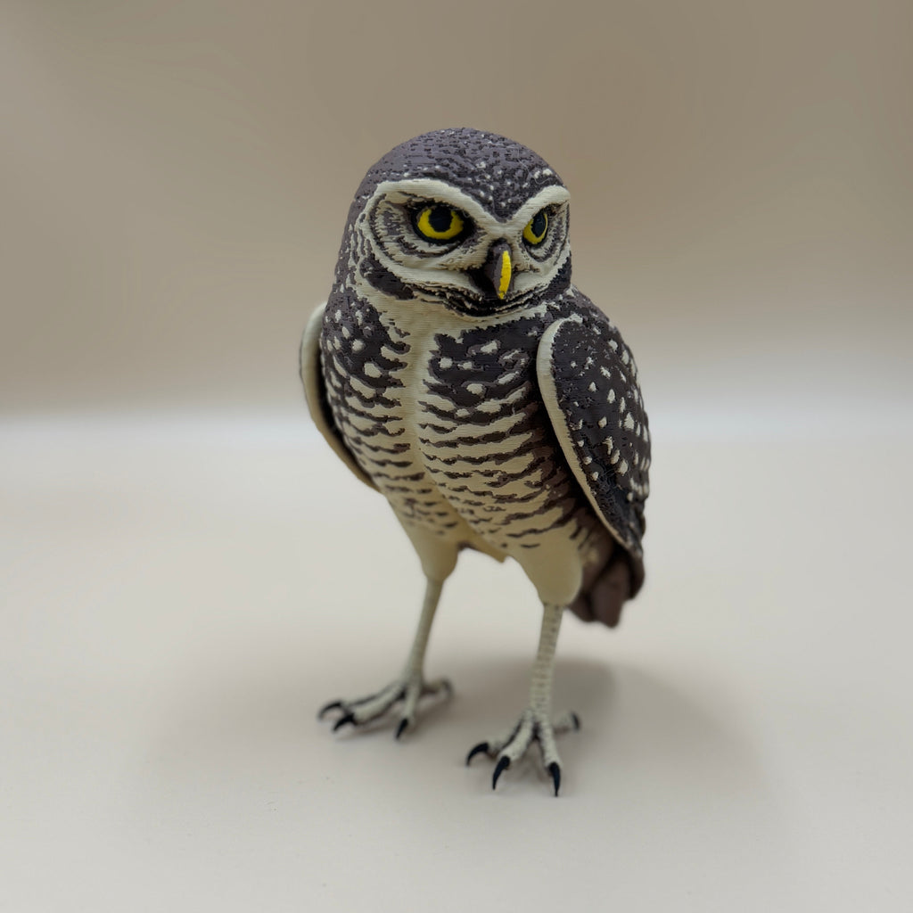Burrowing Owl - Indoor Only