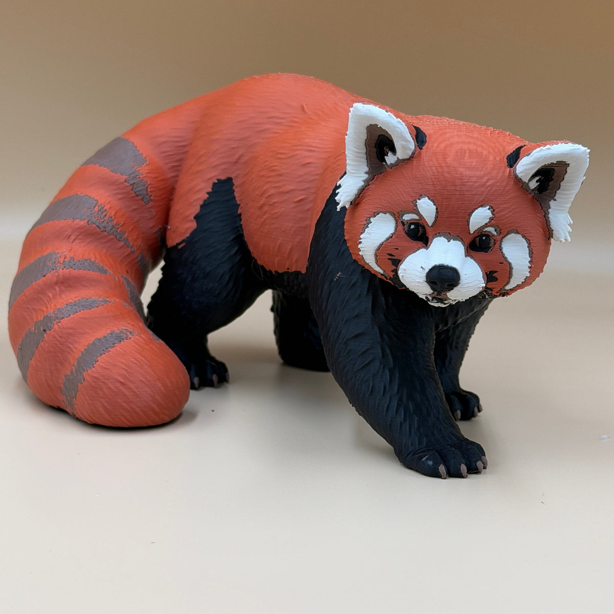 Red Panda