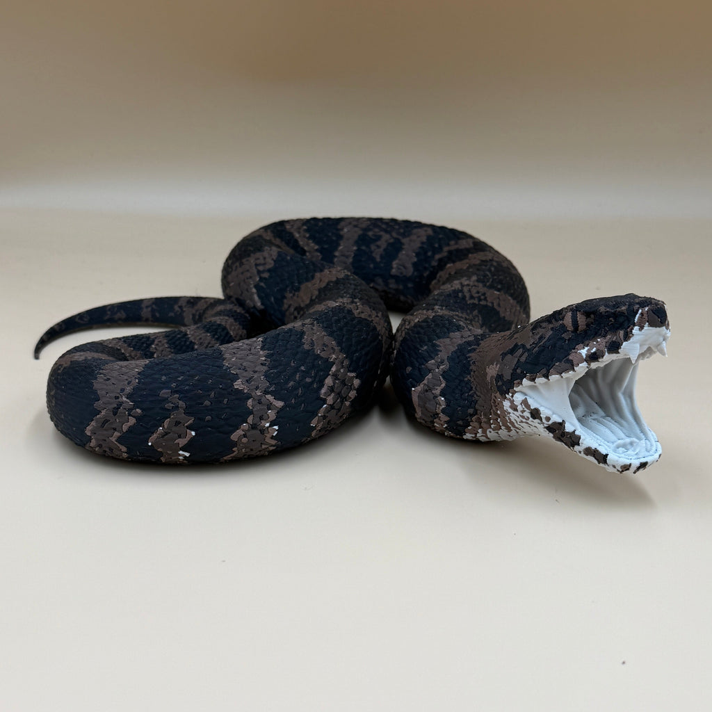 Cottonmouth Snake