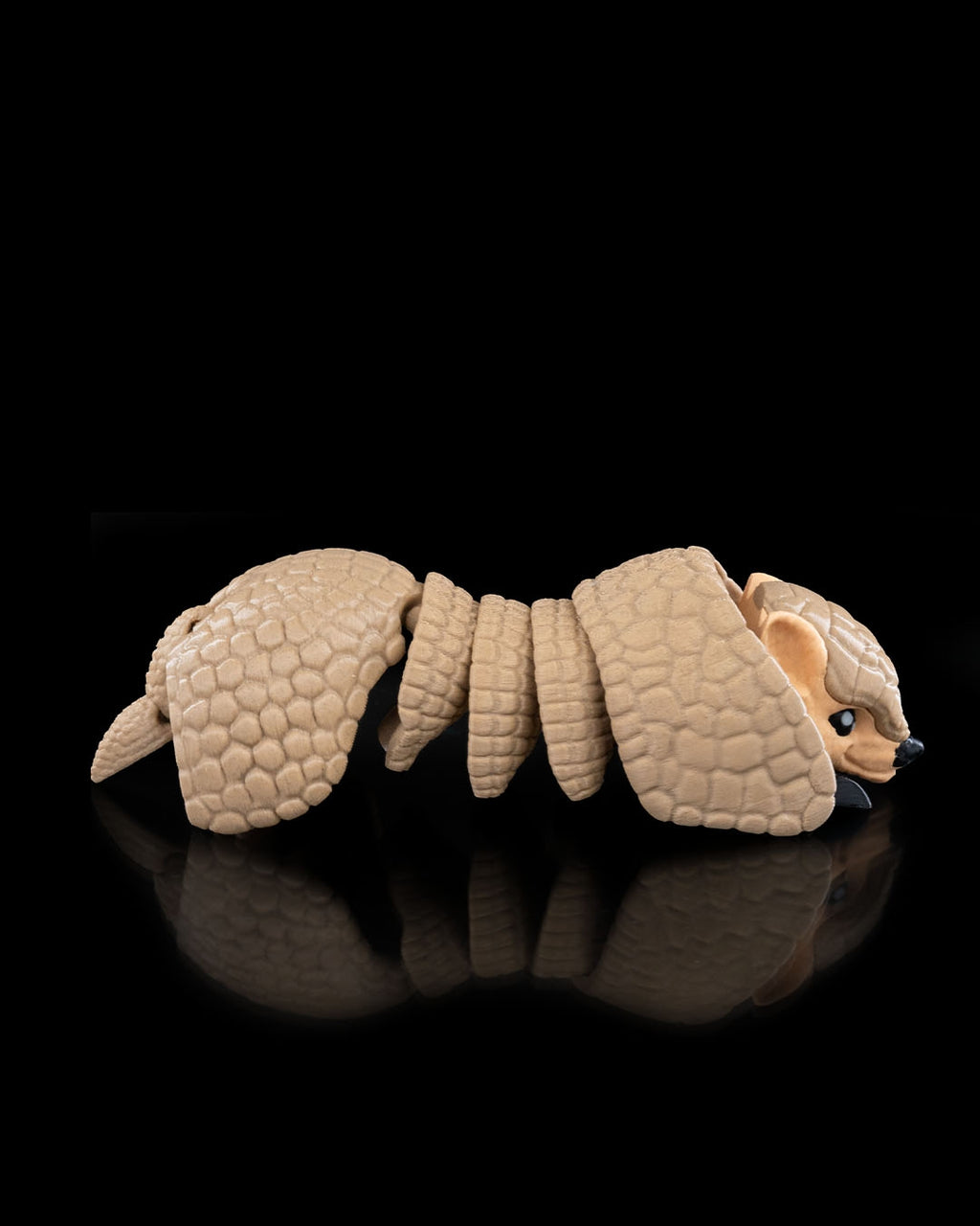 Armadillo