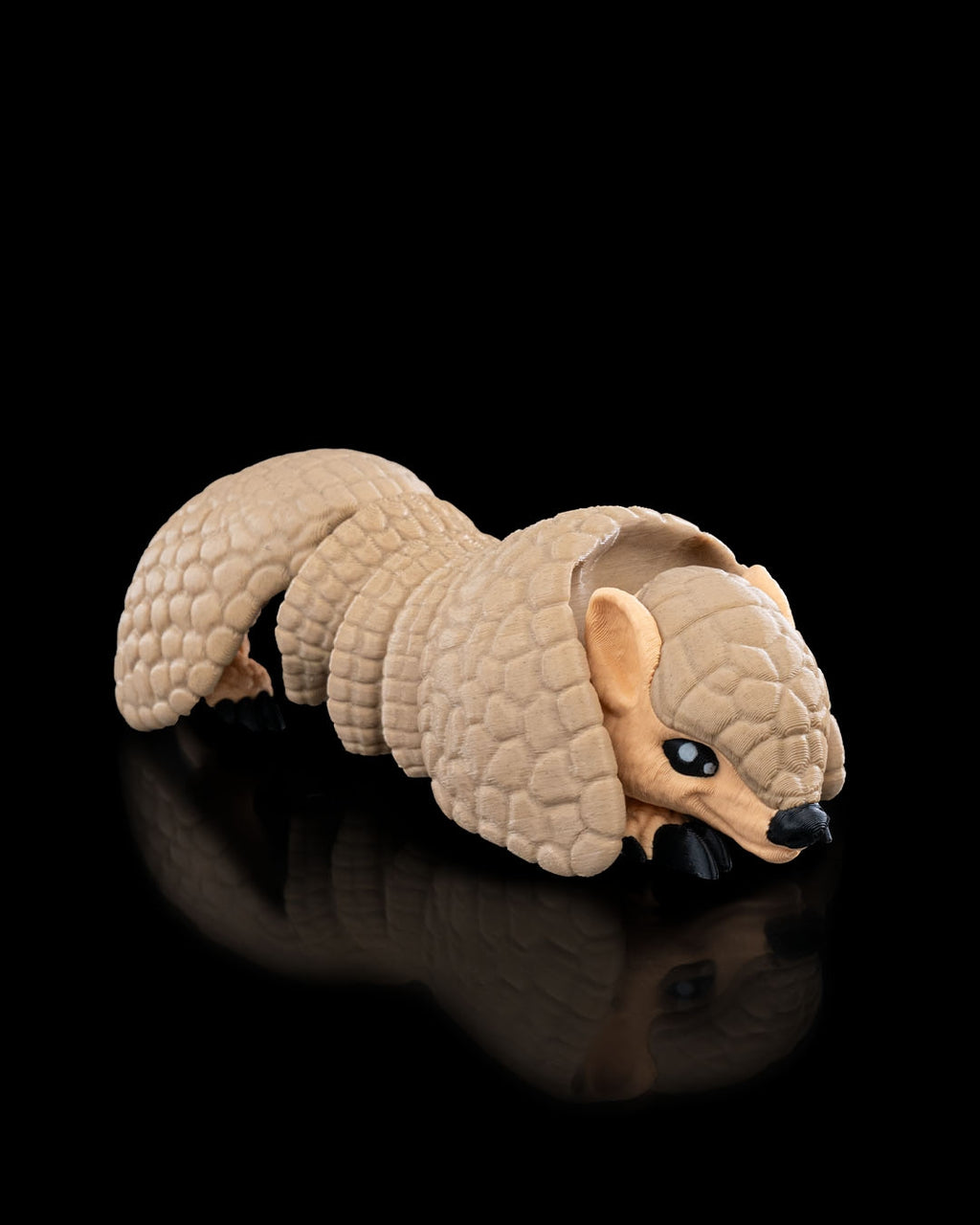 Armadillo