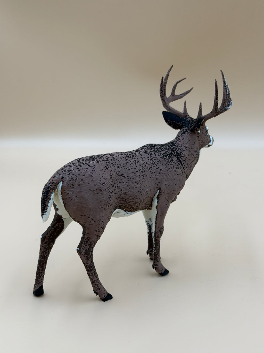 White Tail Deer