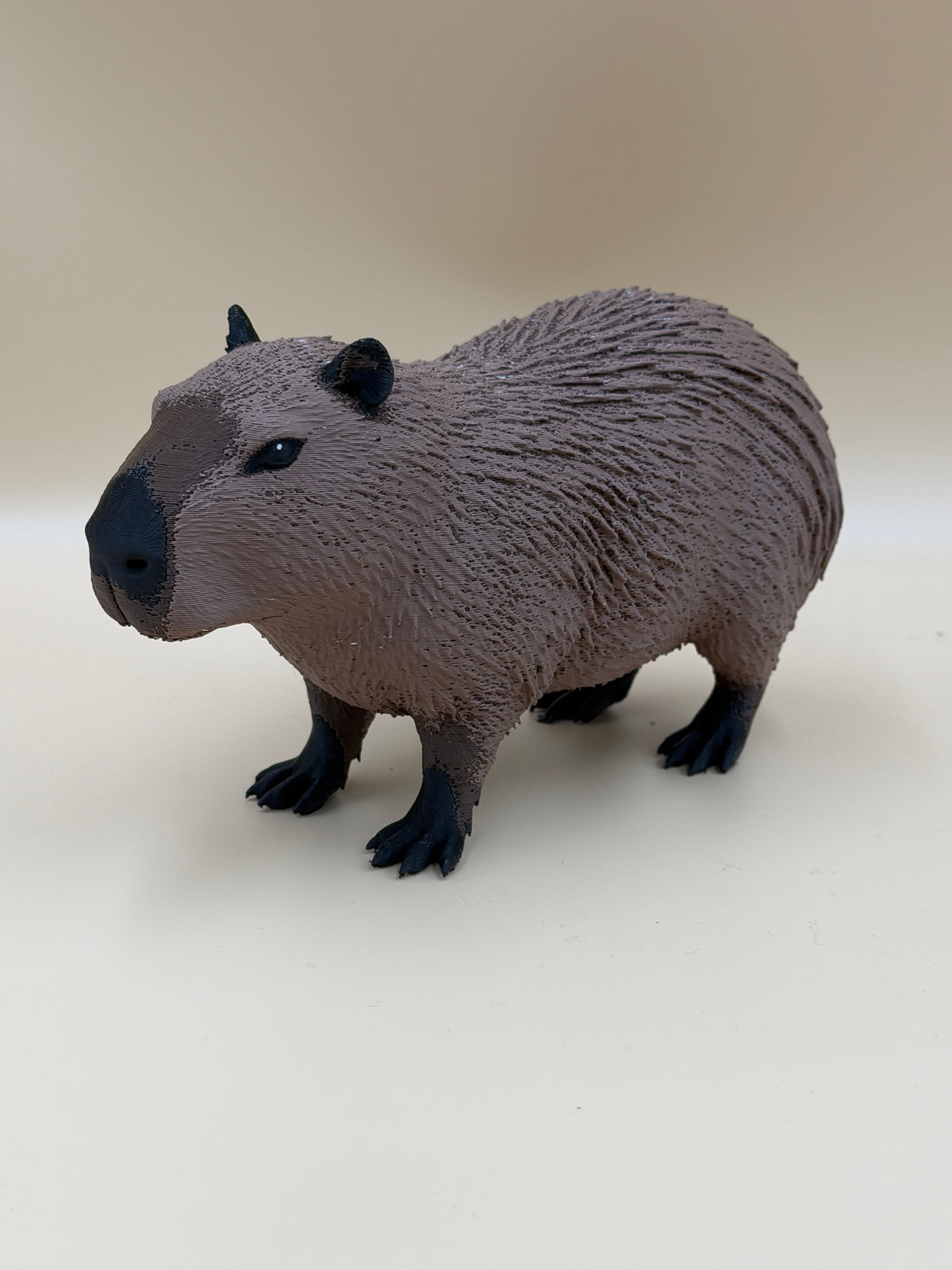 Capybara