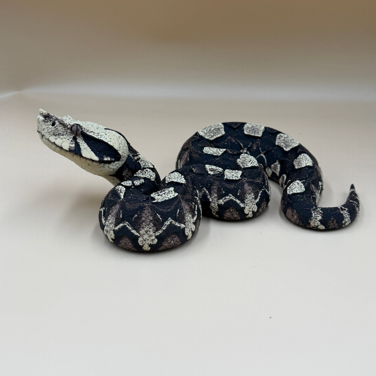 Gaboon Viper Snake