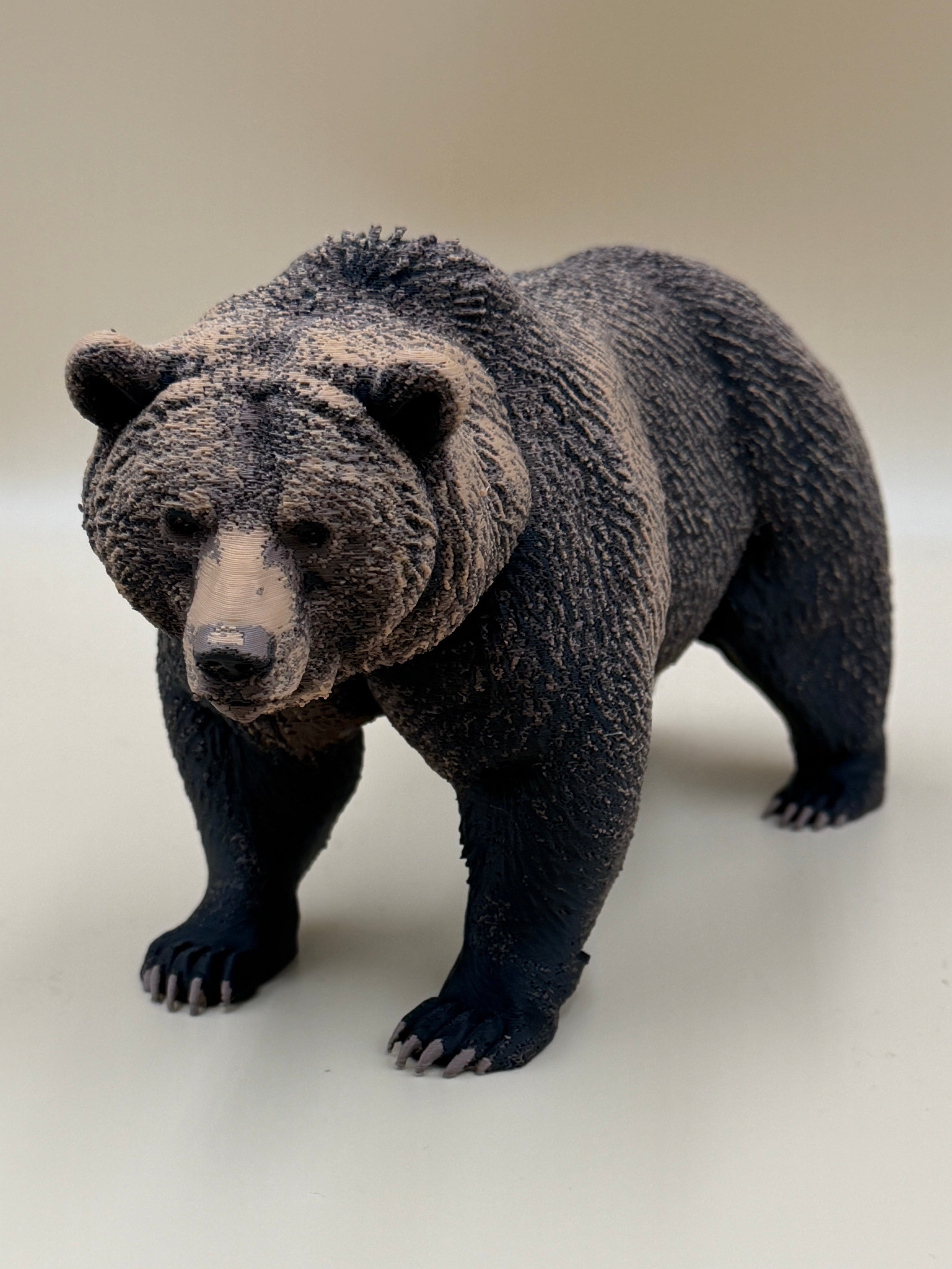 The Wild Grizzly Bear