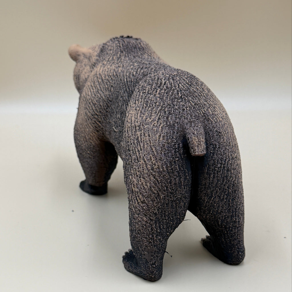 The Wild Grizzly Bear