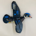 Wood Duck - Flying