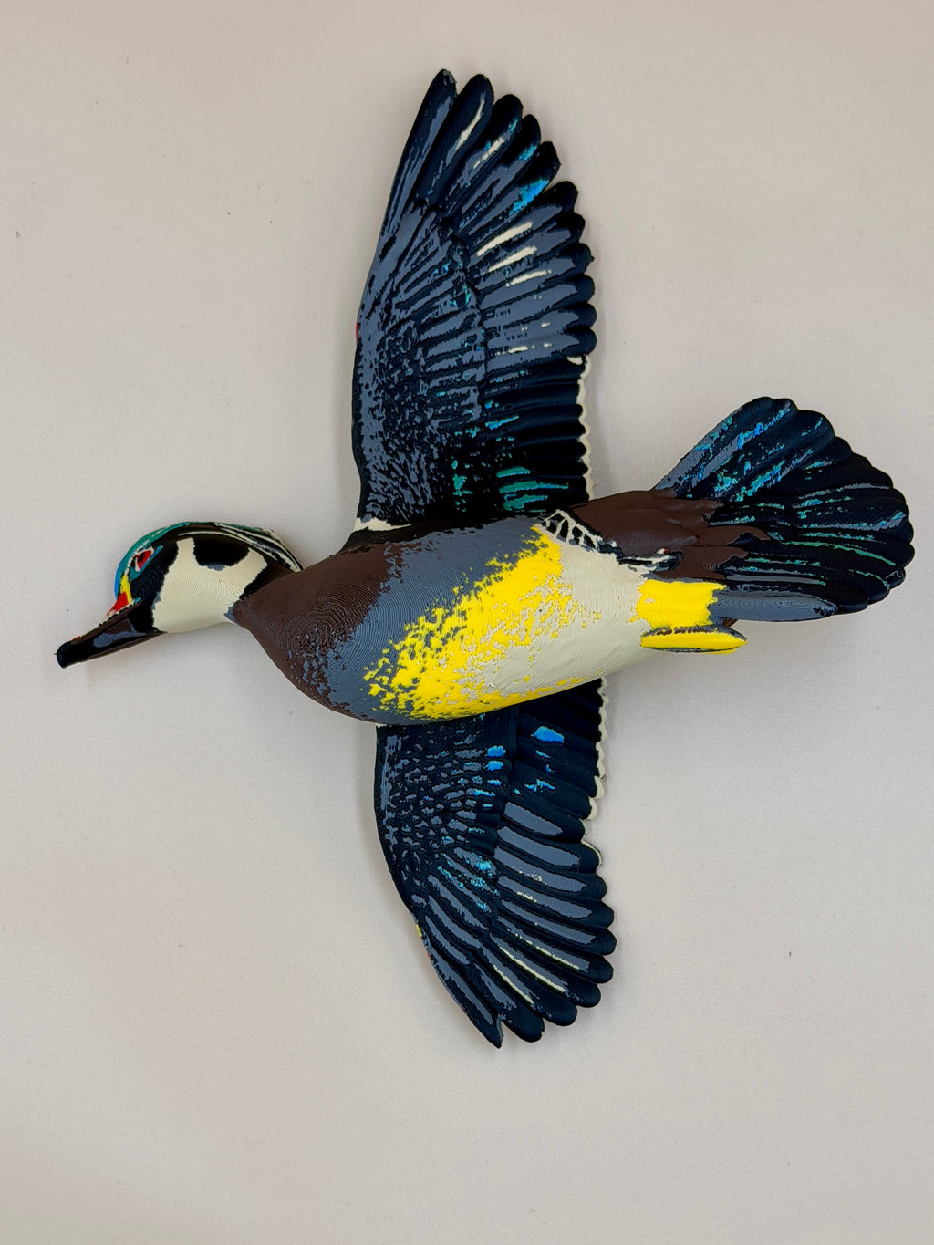 Wood Duck - Flying