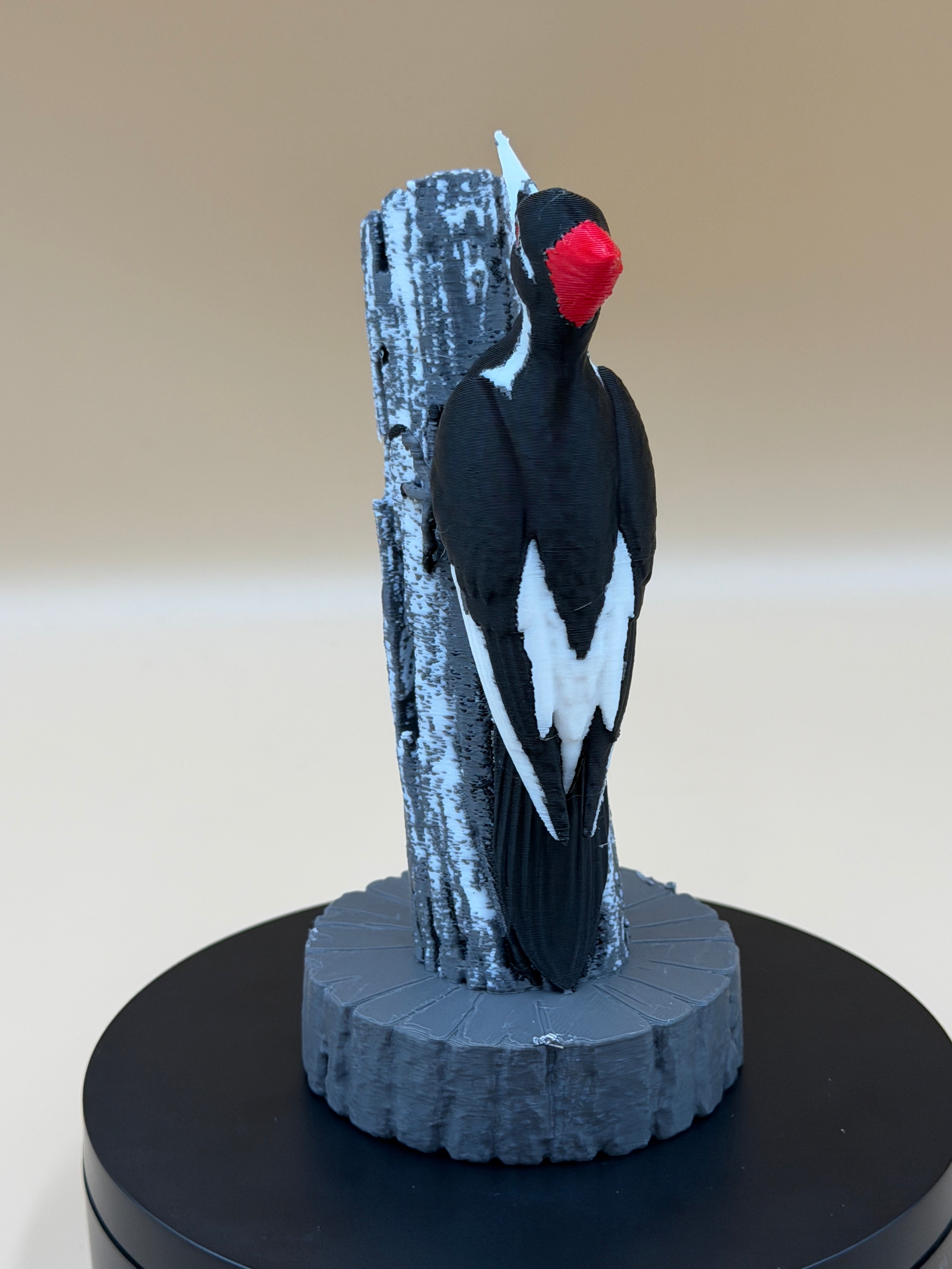 Pileated Sentinel Woodpecker
