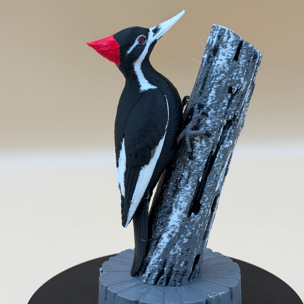 Pileated Sentinel Woodpecker