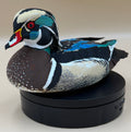 Wood Duck