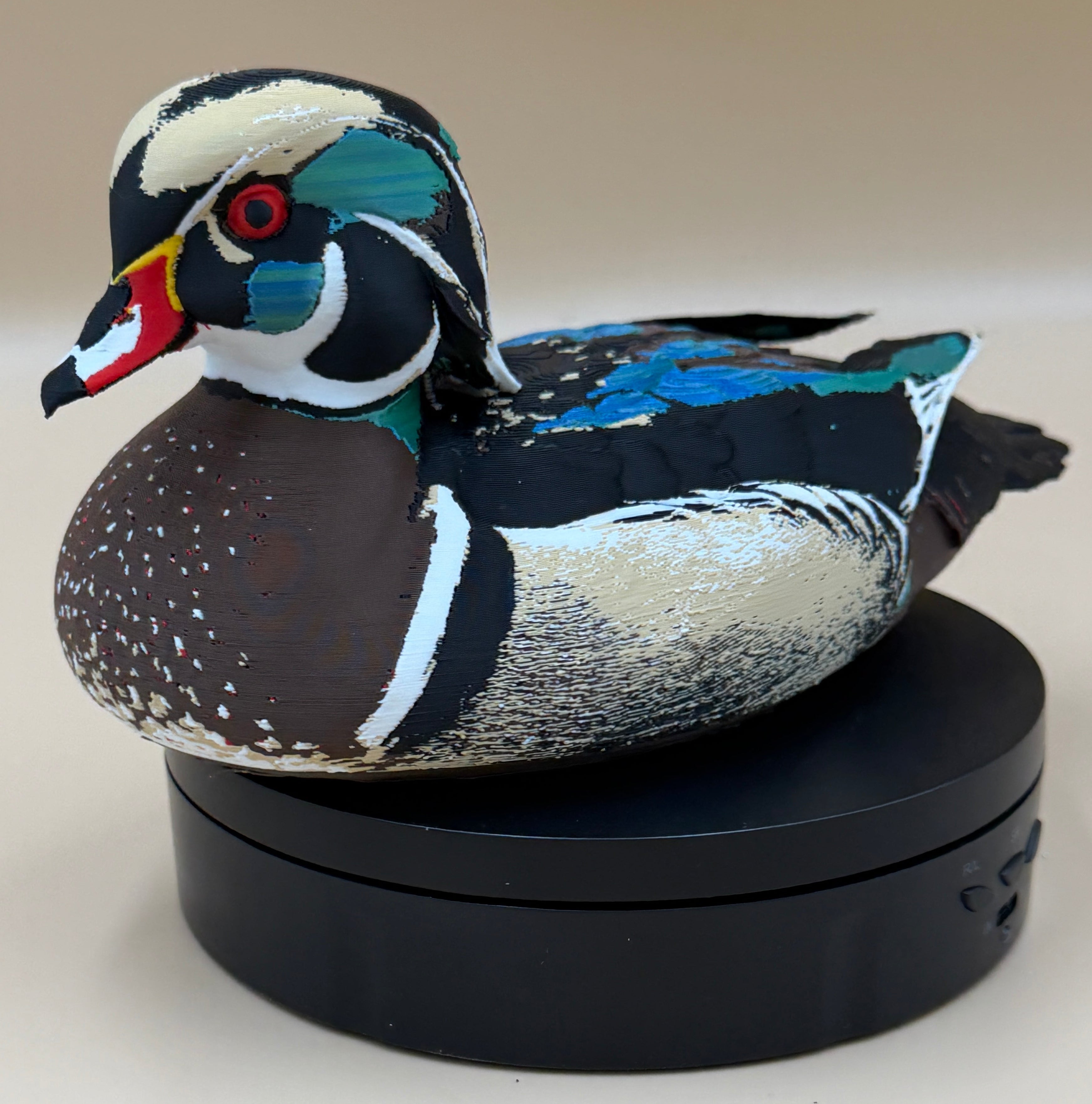 Wood Duck