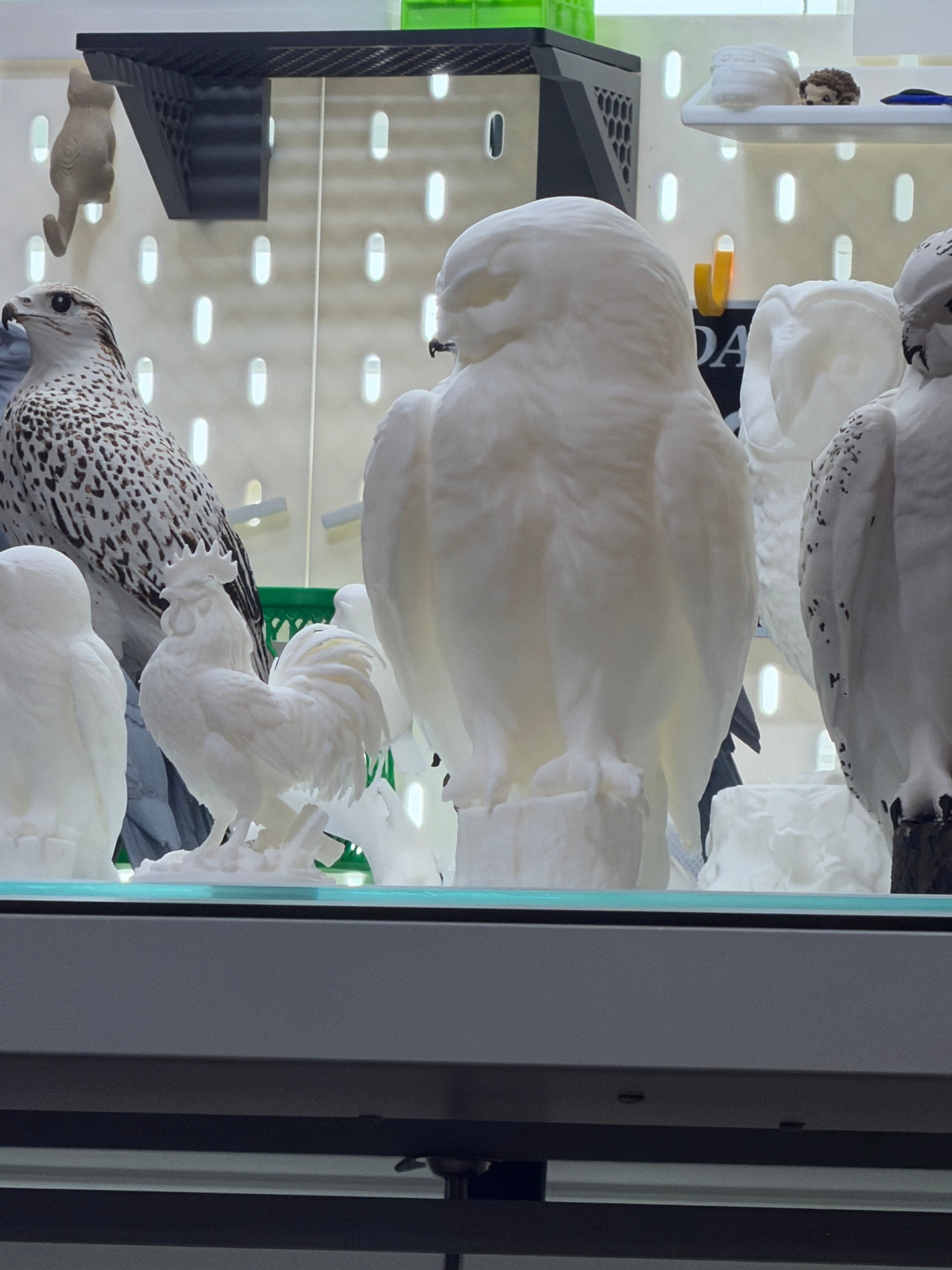 Misc Bird Prints for Paining