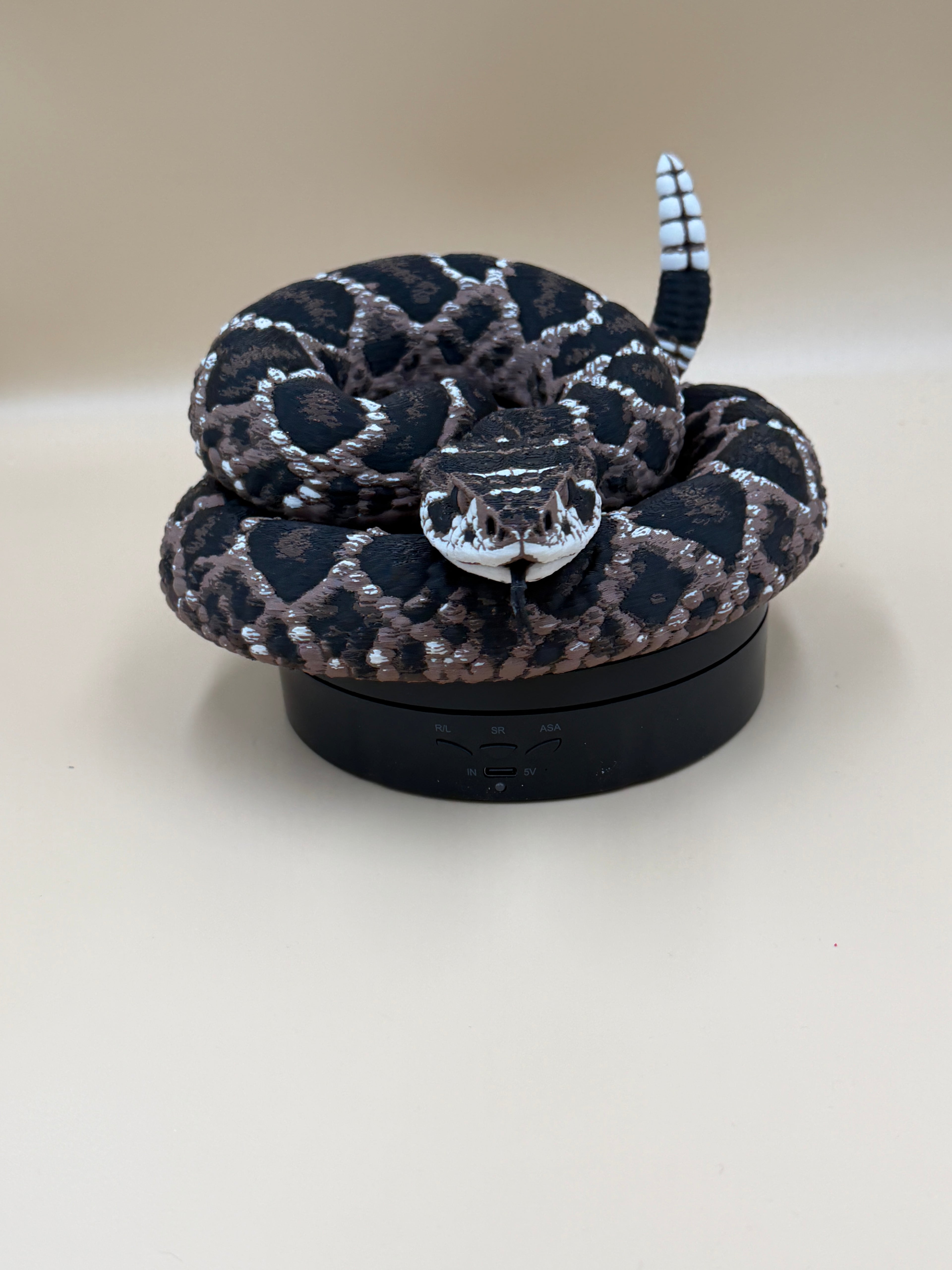 Diamondback Rattlesnake