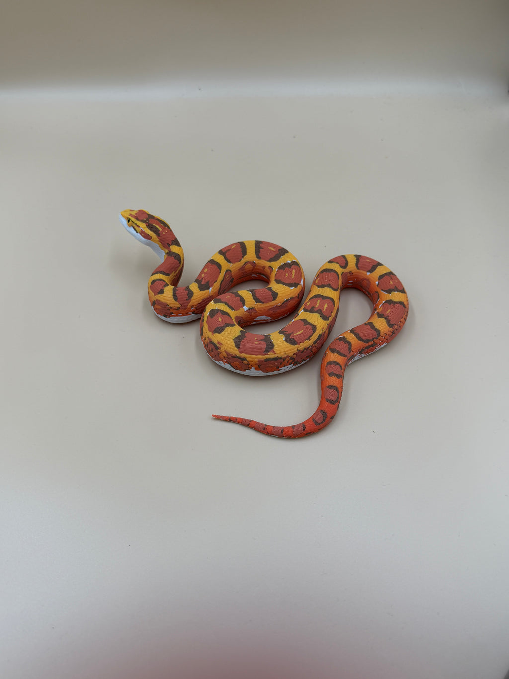 Harvest King Corn Snake - PLA Indoors