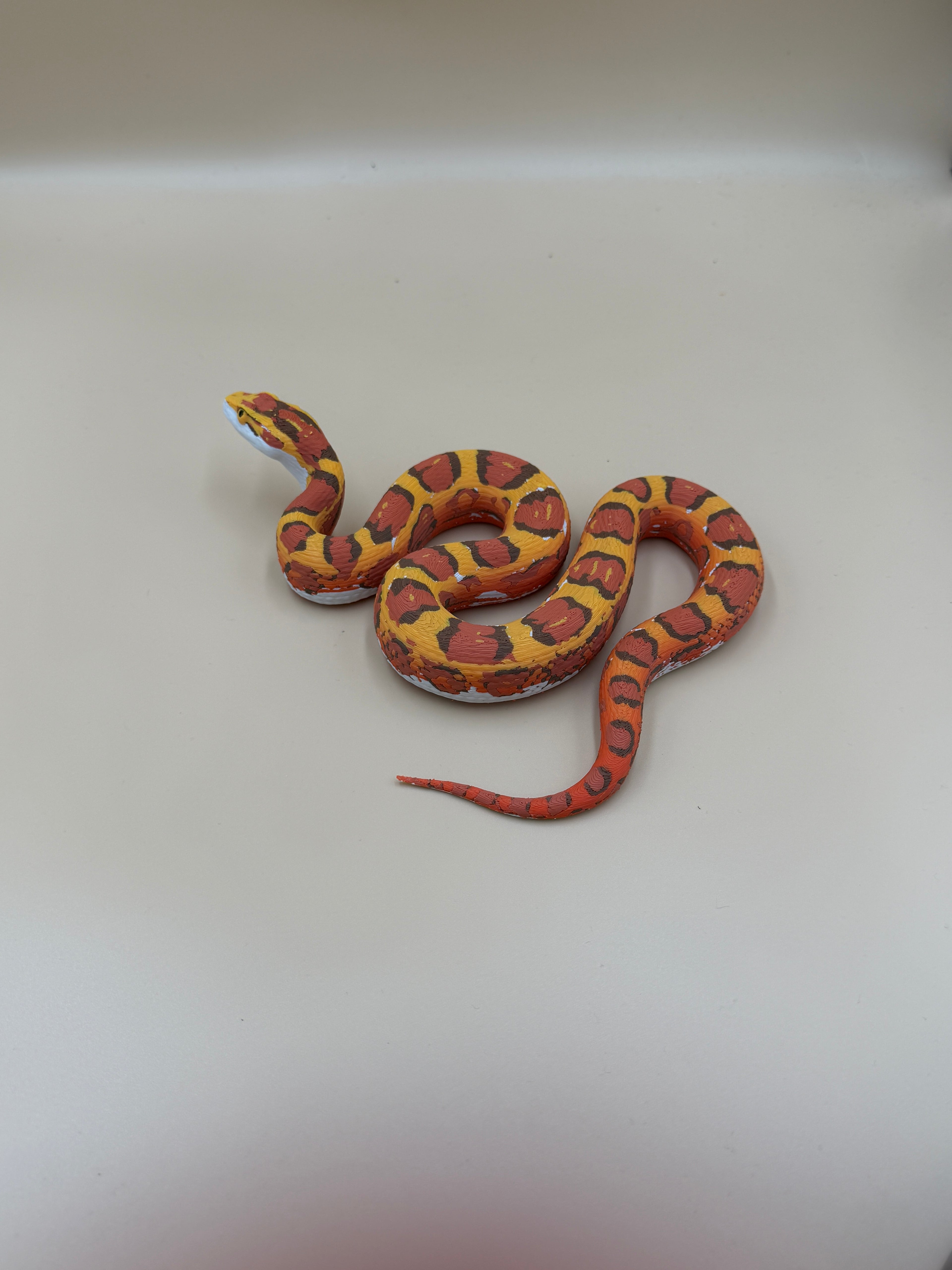 Harvest King Corn Snake - PLA Indoors