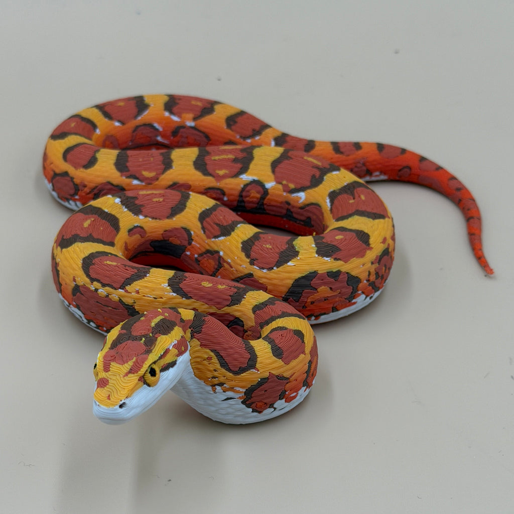 Harvest King Corn Snake - PLA Indoors