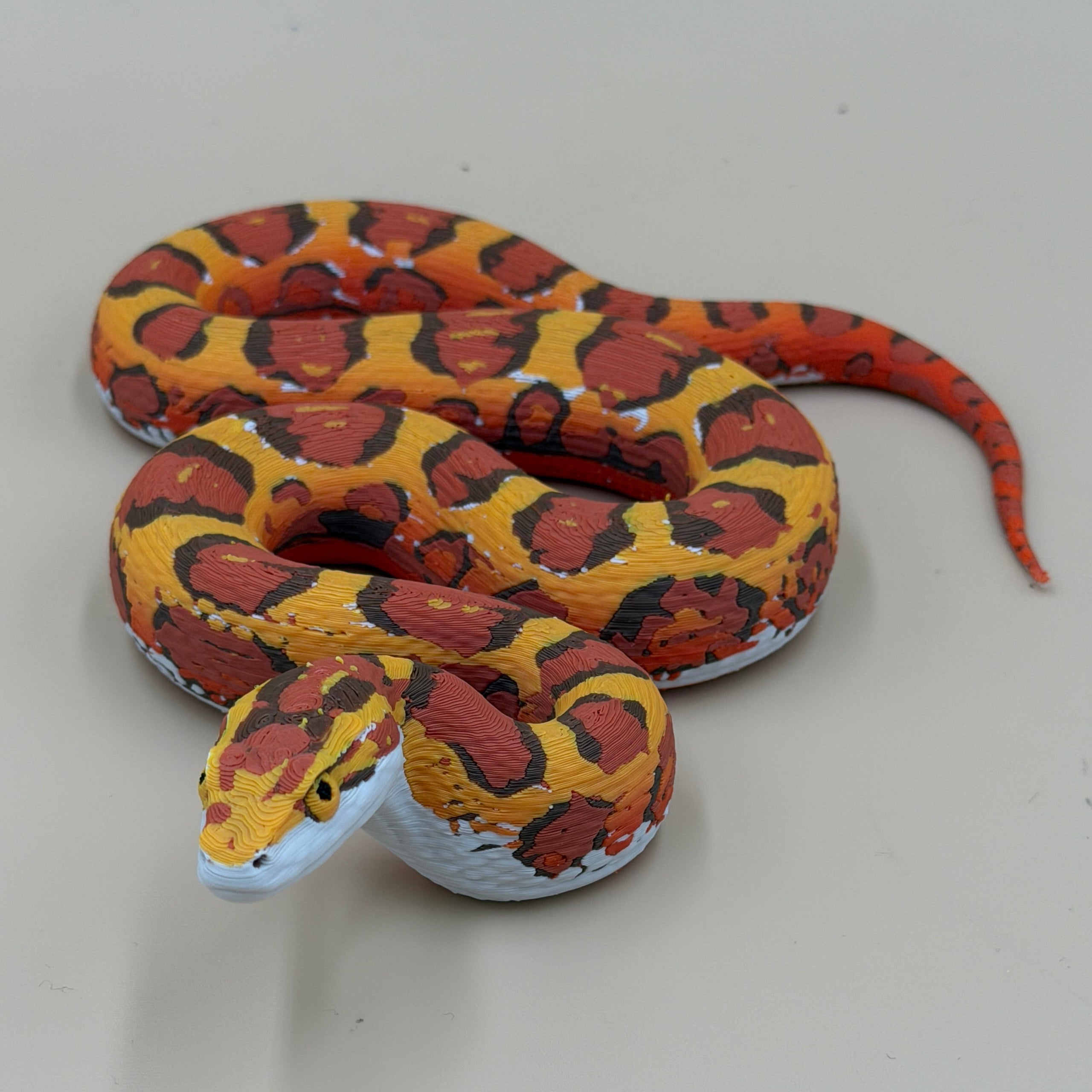 Harvest King Corn Snake - PLA Indoors