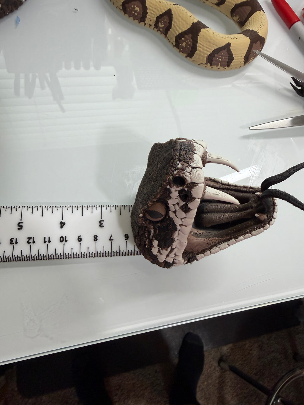 Rattlesnake Head - PLA Indoors only
