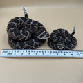 Diamondback Rattlesnake - PLA Indoors only