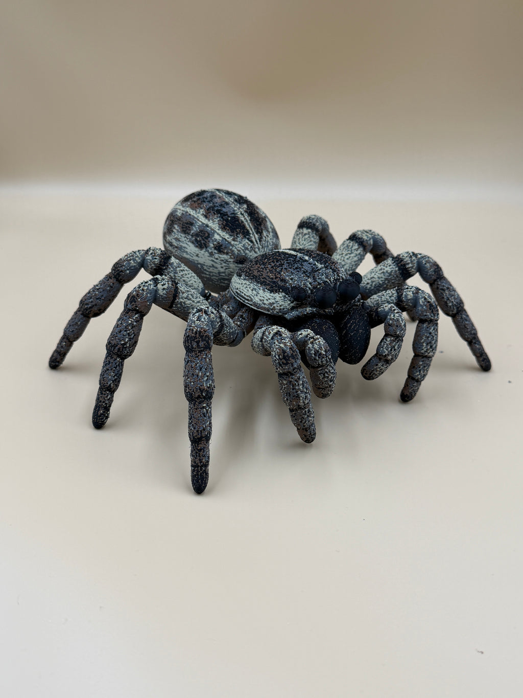 Jumping Spider