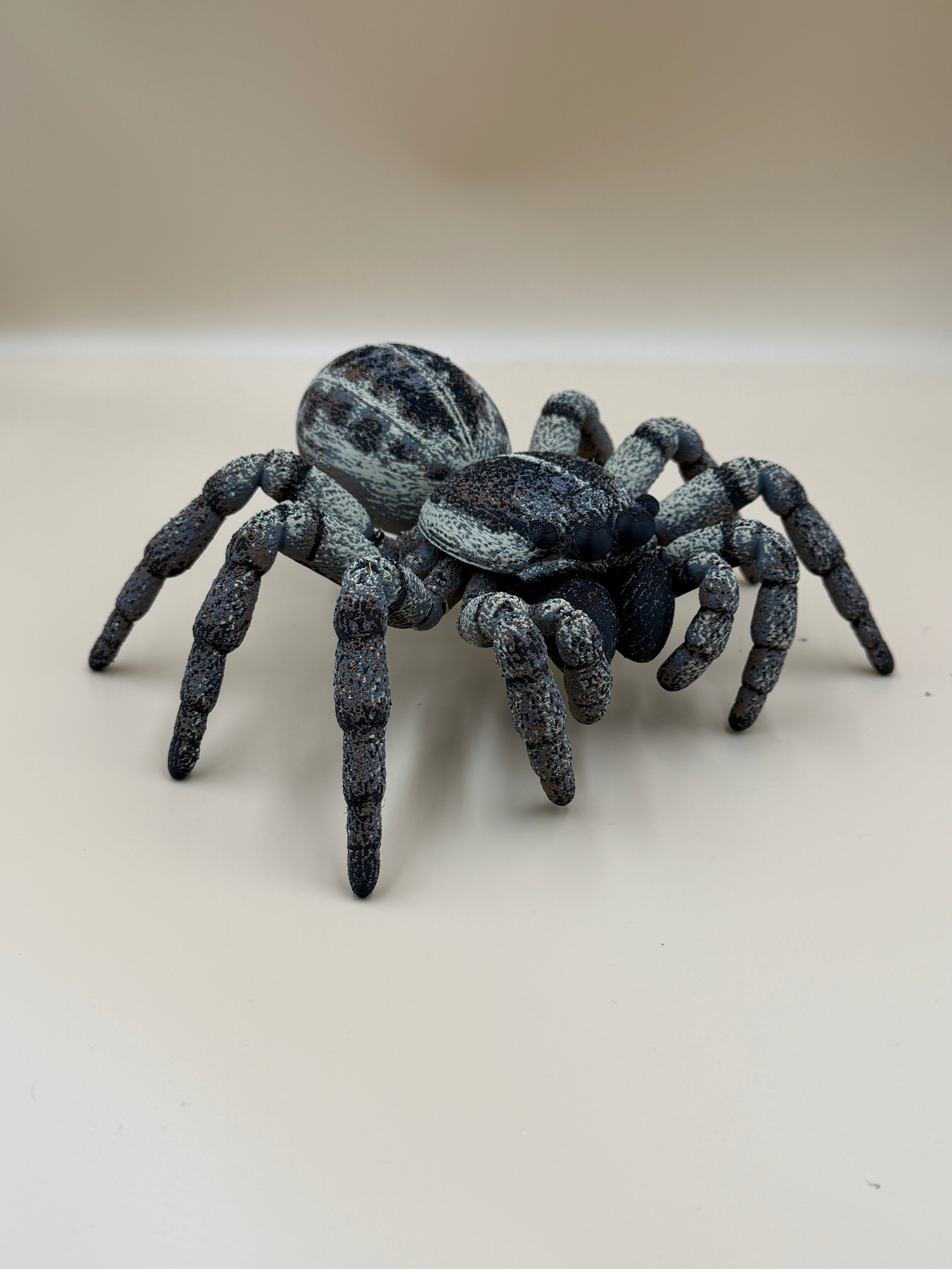Jumping Spider