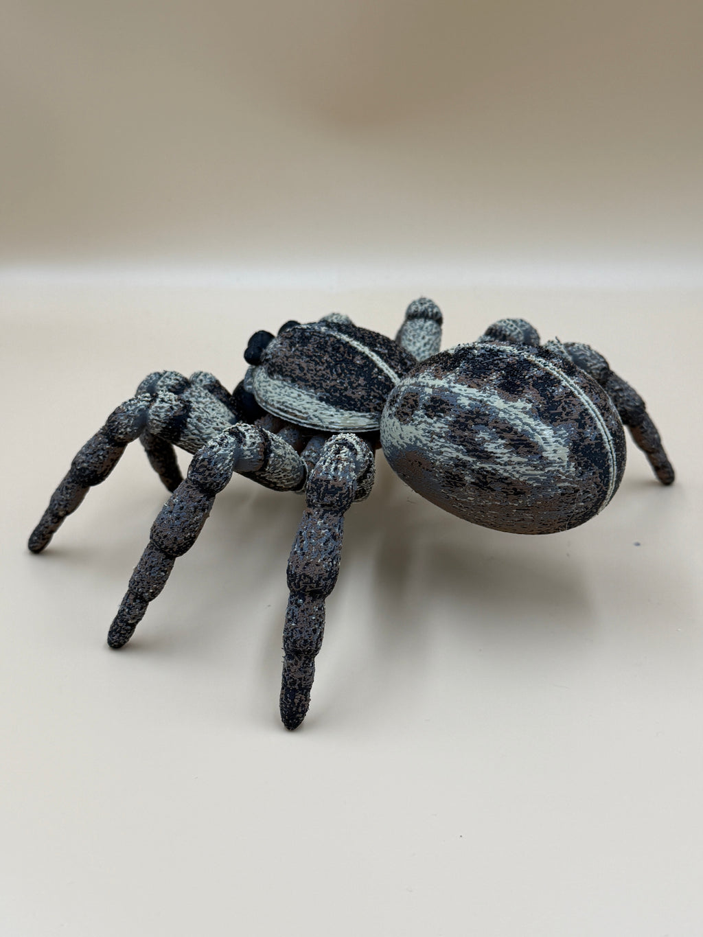 Jumping Spider